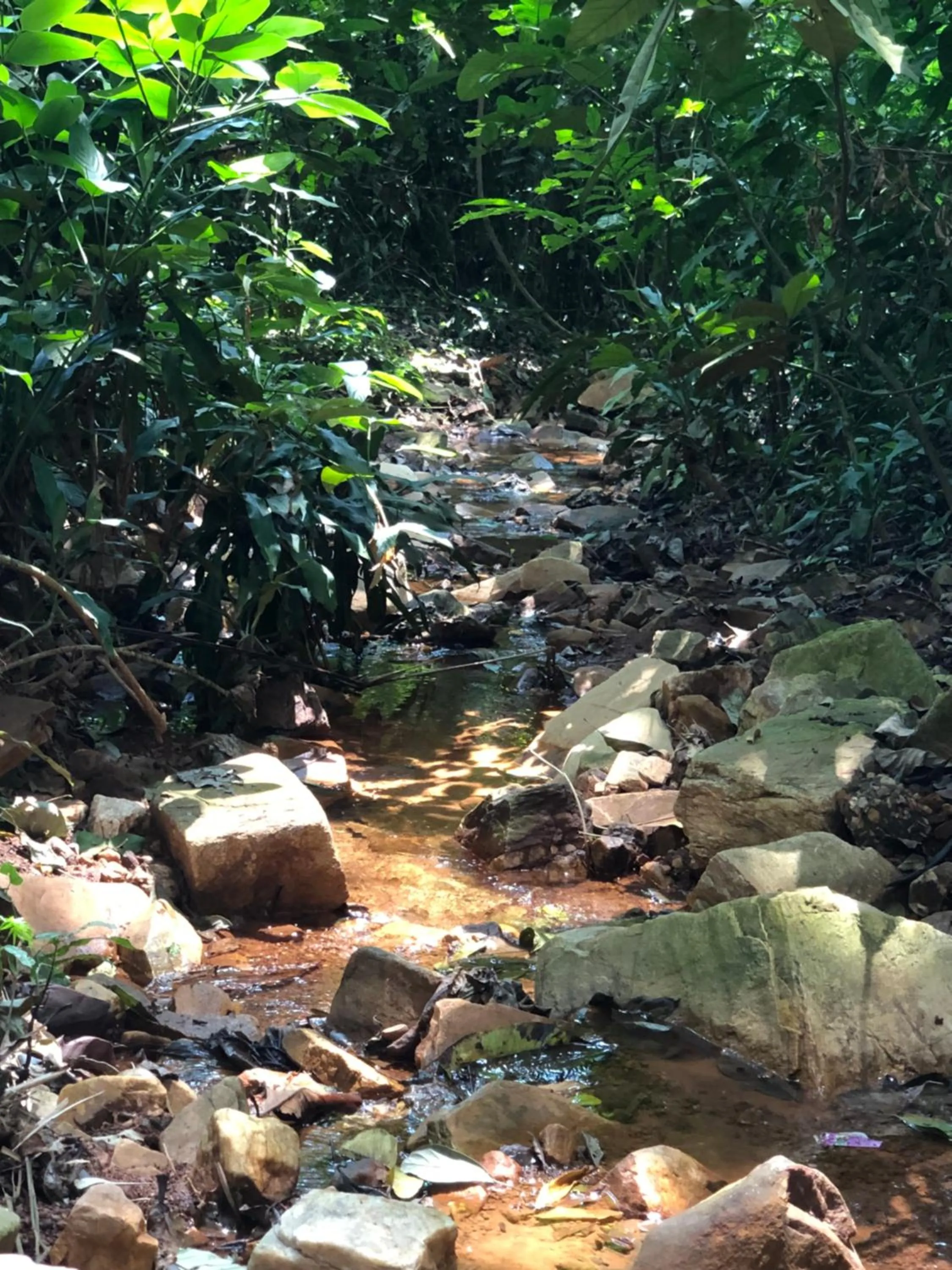 River view in The Address Resort