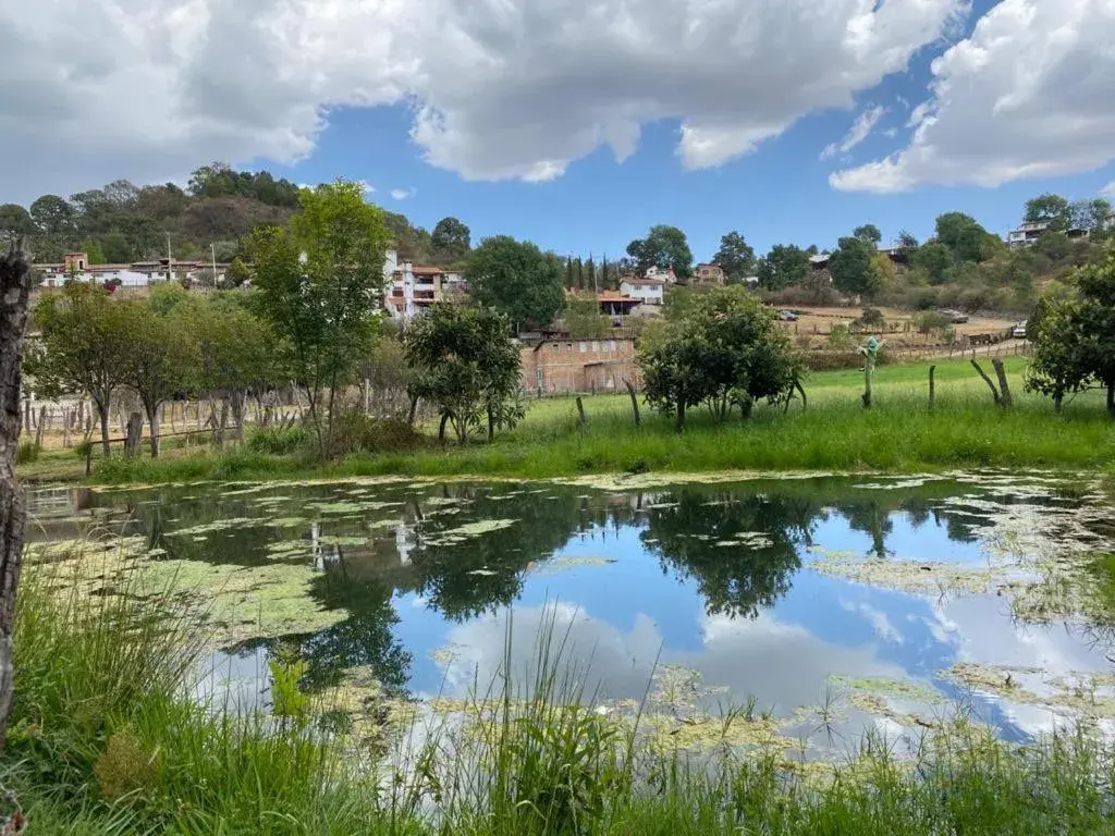 Natural landscape in La Toscanía Tapalpa Resort & Agroturismo Natural landscape in La Toscanía Tapalpa Resort & Agroturismo
