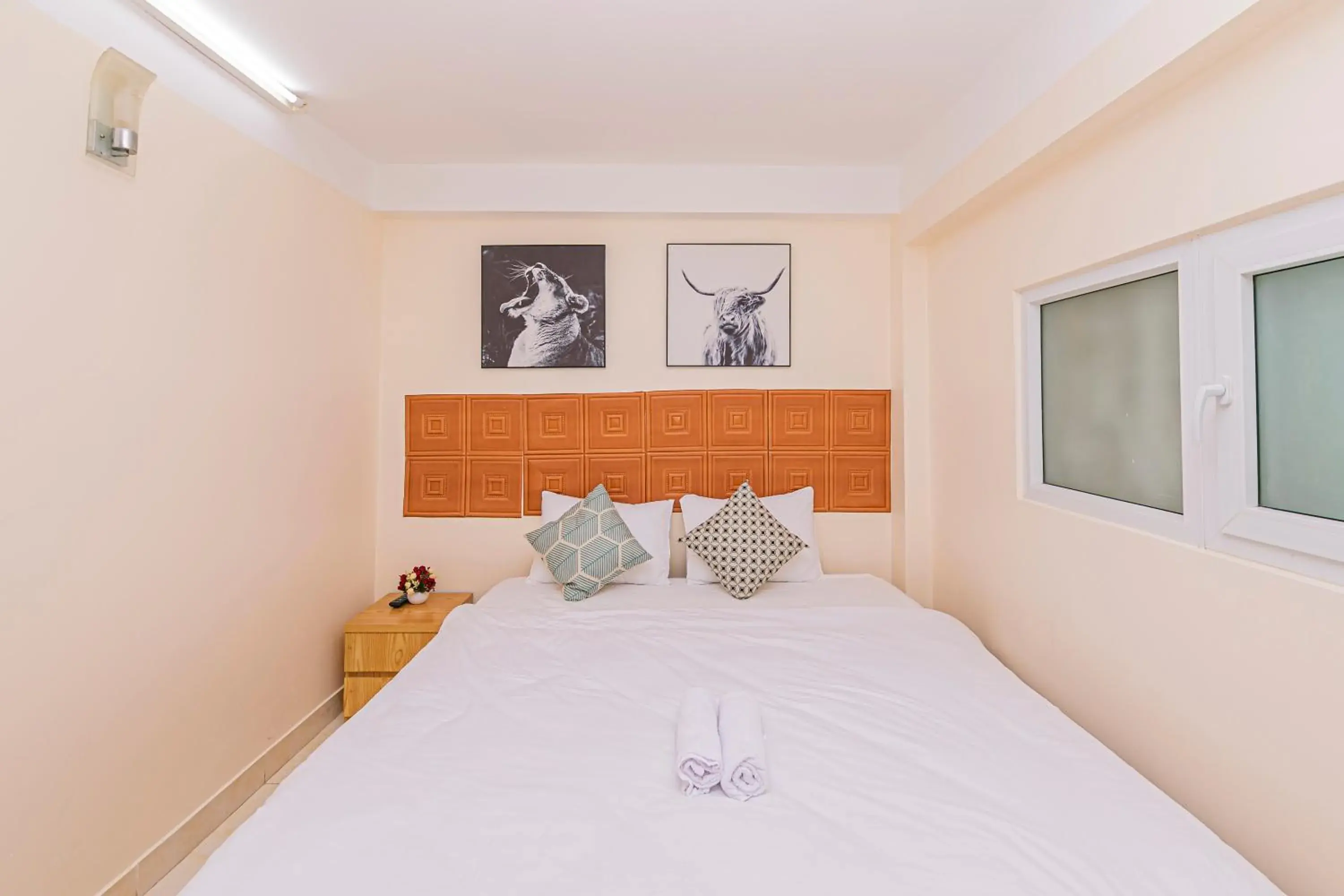 Double Room - single occupancy in Thang Lap Hotel Double Room - single occupancy in Thang Lap Hotel