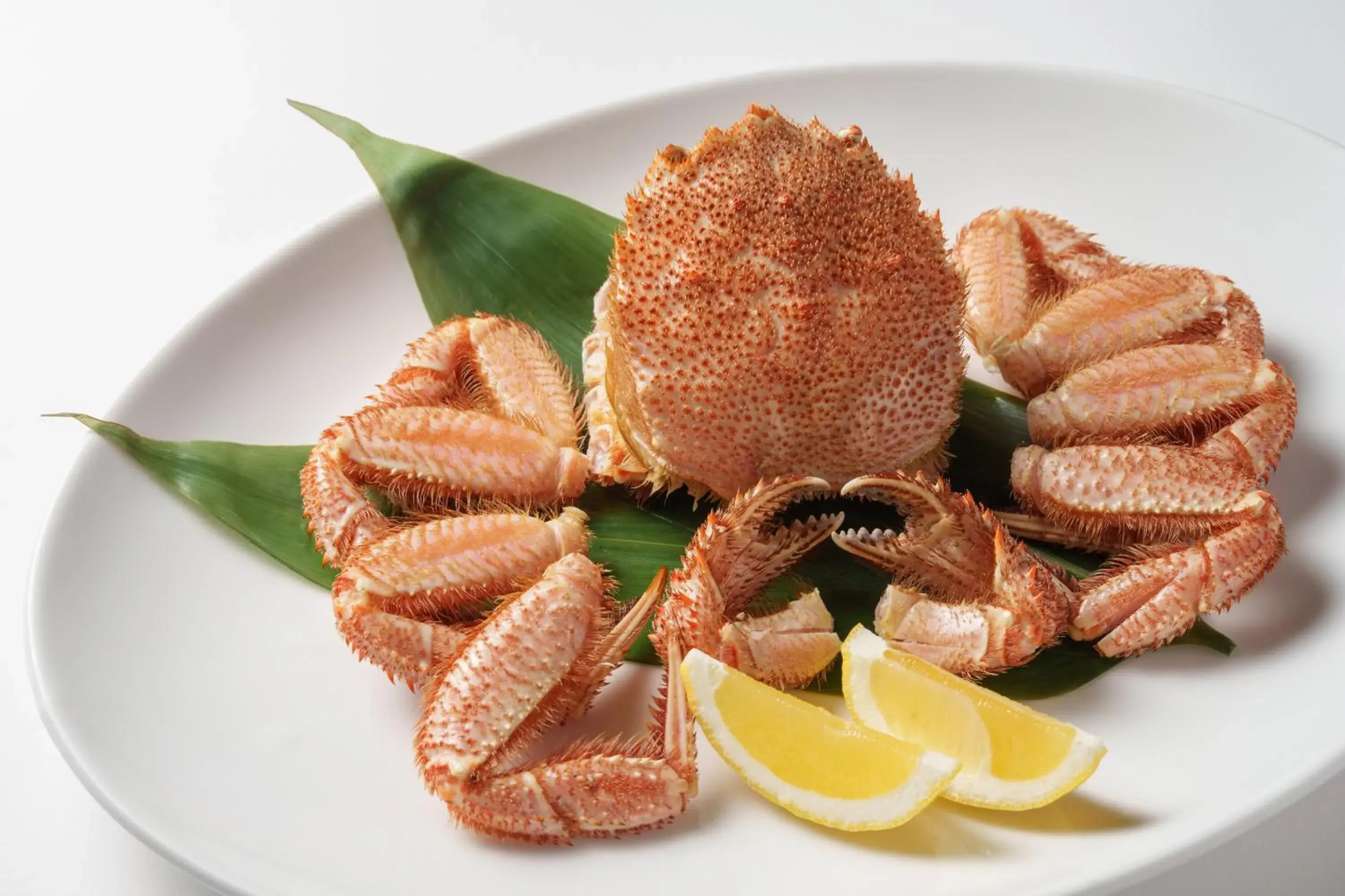 Restaurant/places to eat in Hotel Nidom Restaurant/places to eat in Hotel Nidom