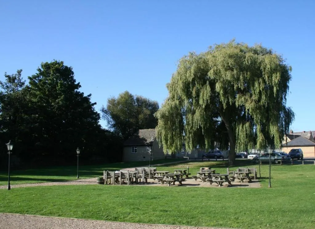 Garden in Queen's Head Inn