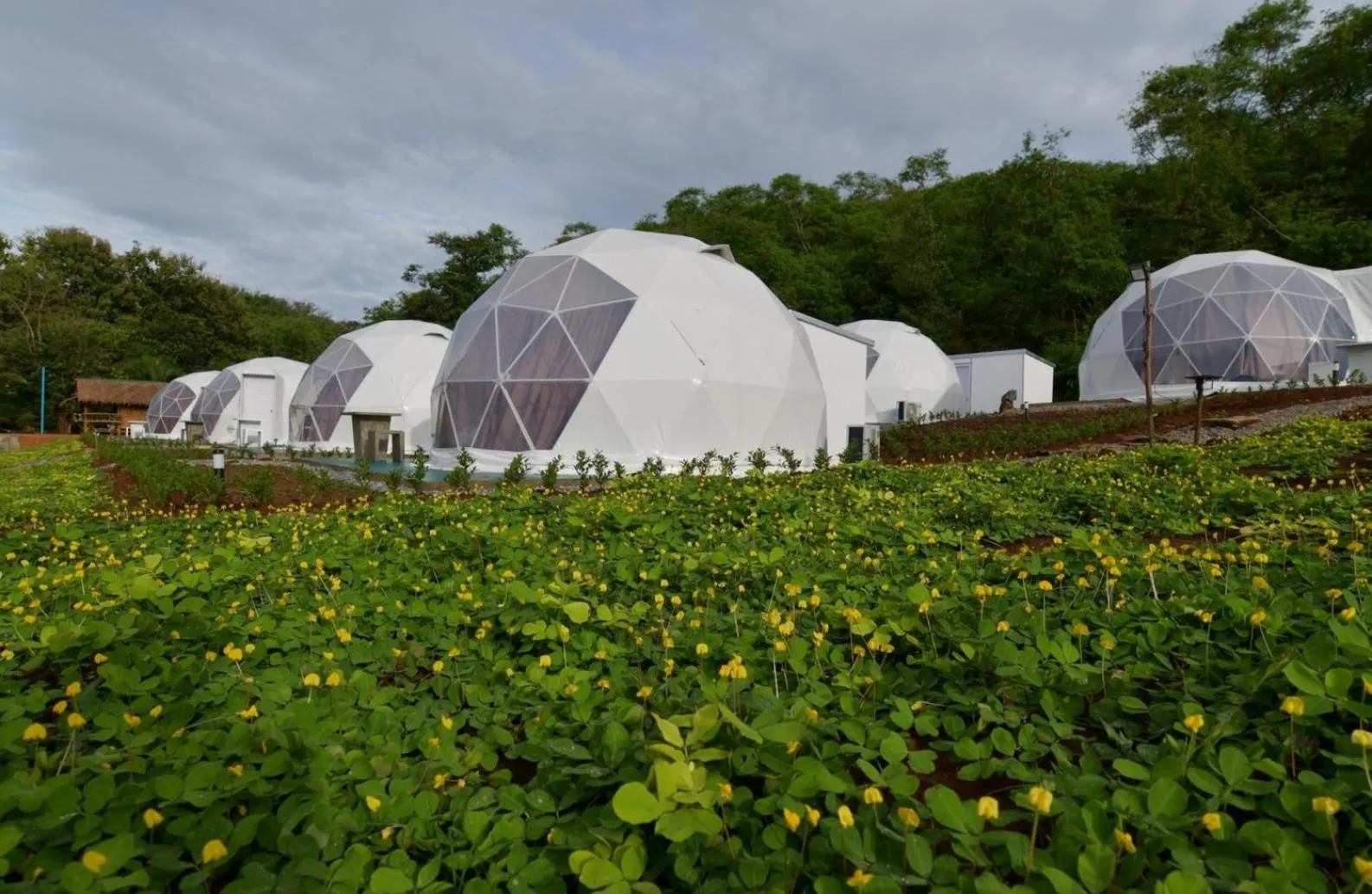 Day in NiNo San Glamping - Pak Chong