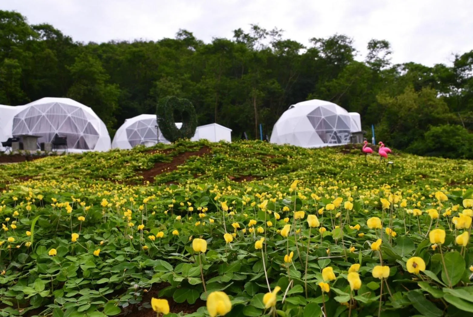 Day in NiNo San Glamping - Pak Chong