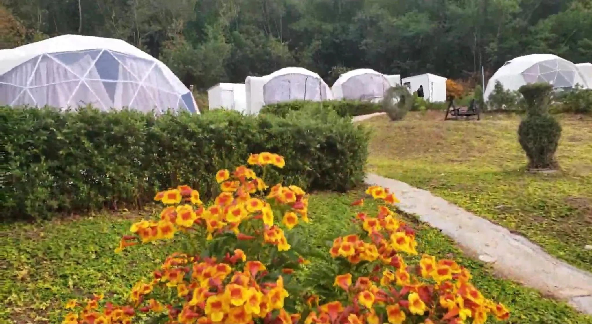 Natural landscape in NiNo San Glamping - Pak Chong