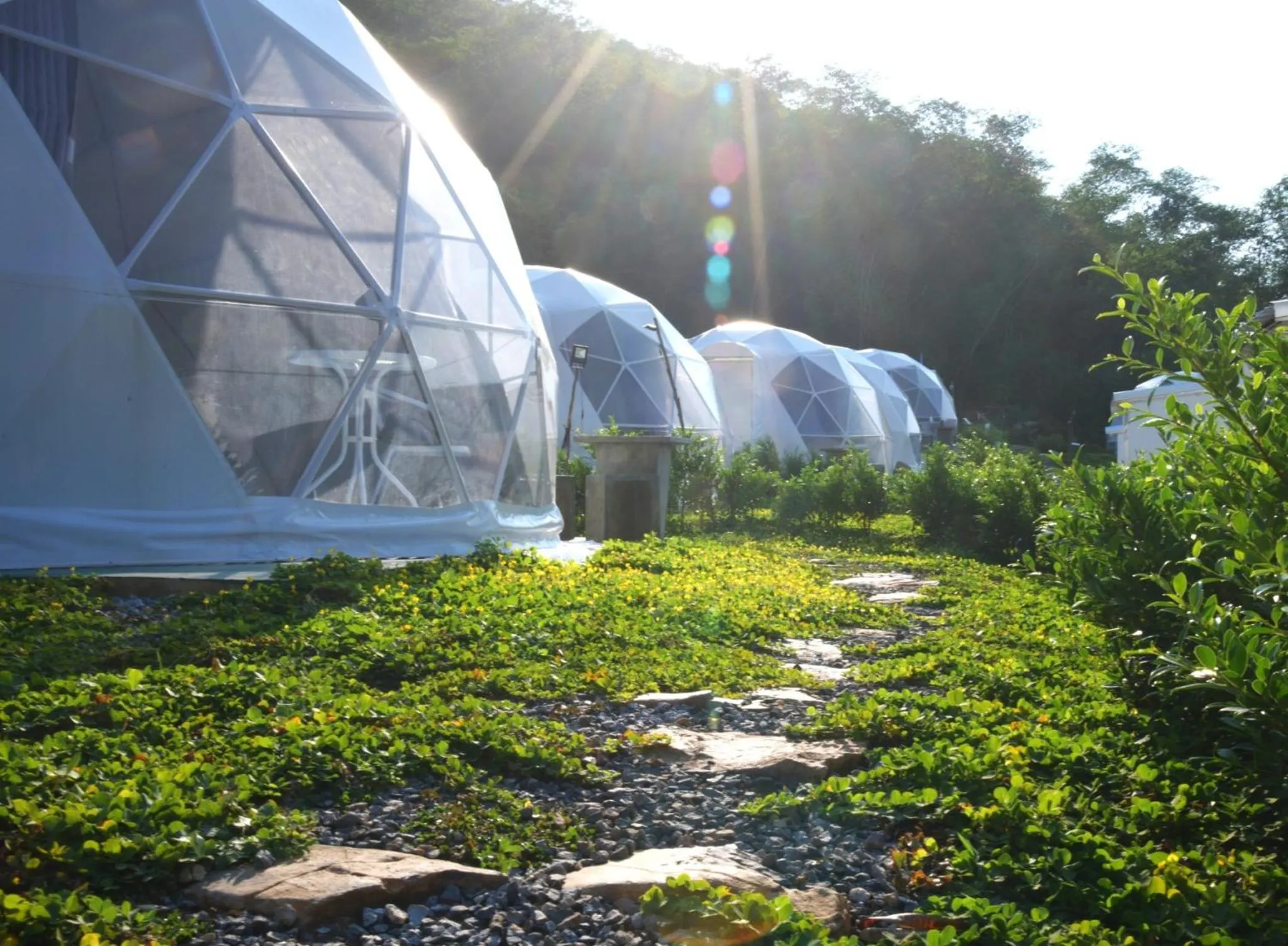 Garden view in NiNo San Glamping - Pak Chong