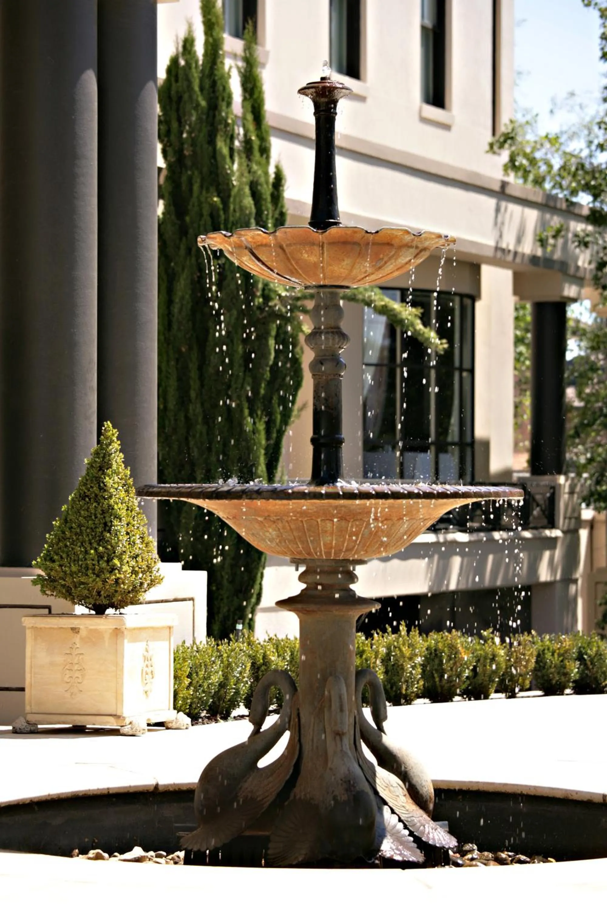 Garden in Beau Monde International