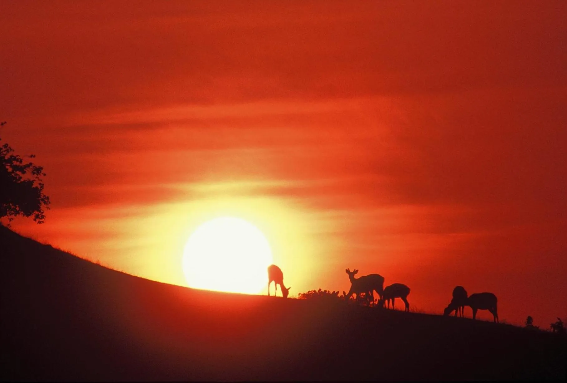 Nearby landmark in Wakasa Annex