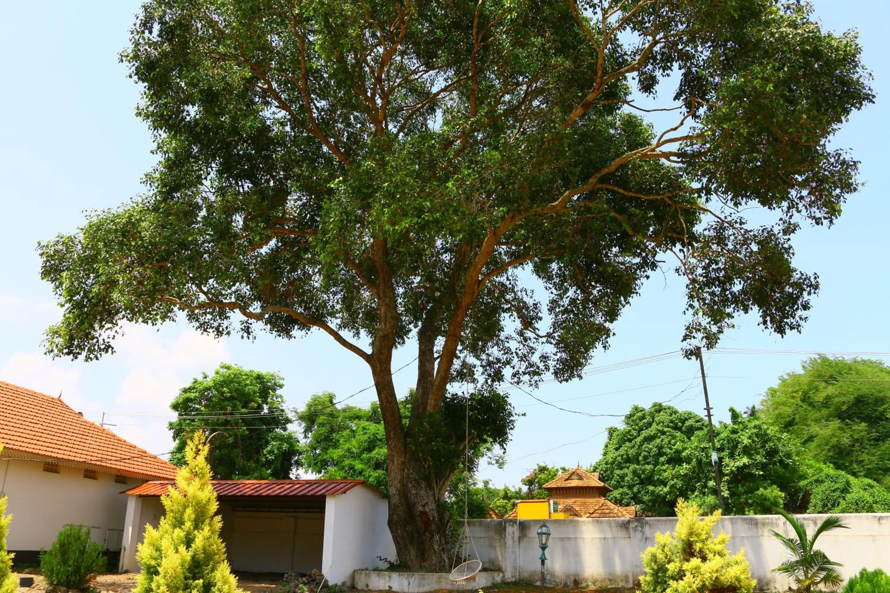 Area and facilities in Baywatch Beach Resort