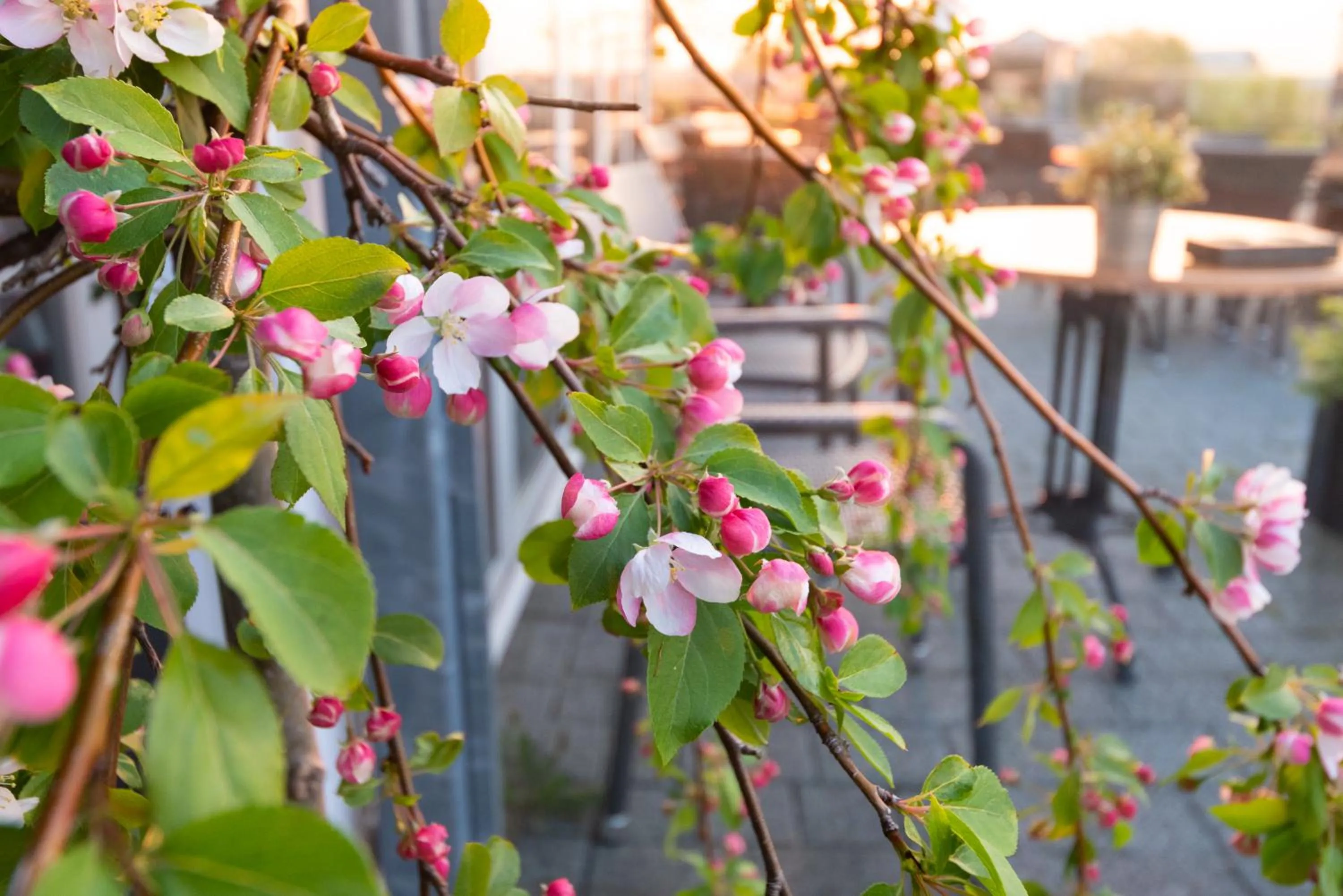 Natural landscape in Hotel Restaurant Zalen Hoogeerd