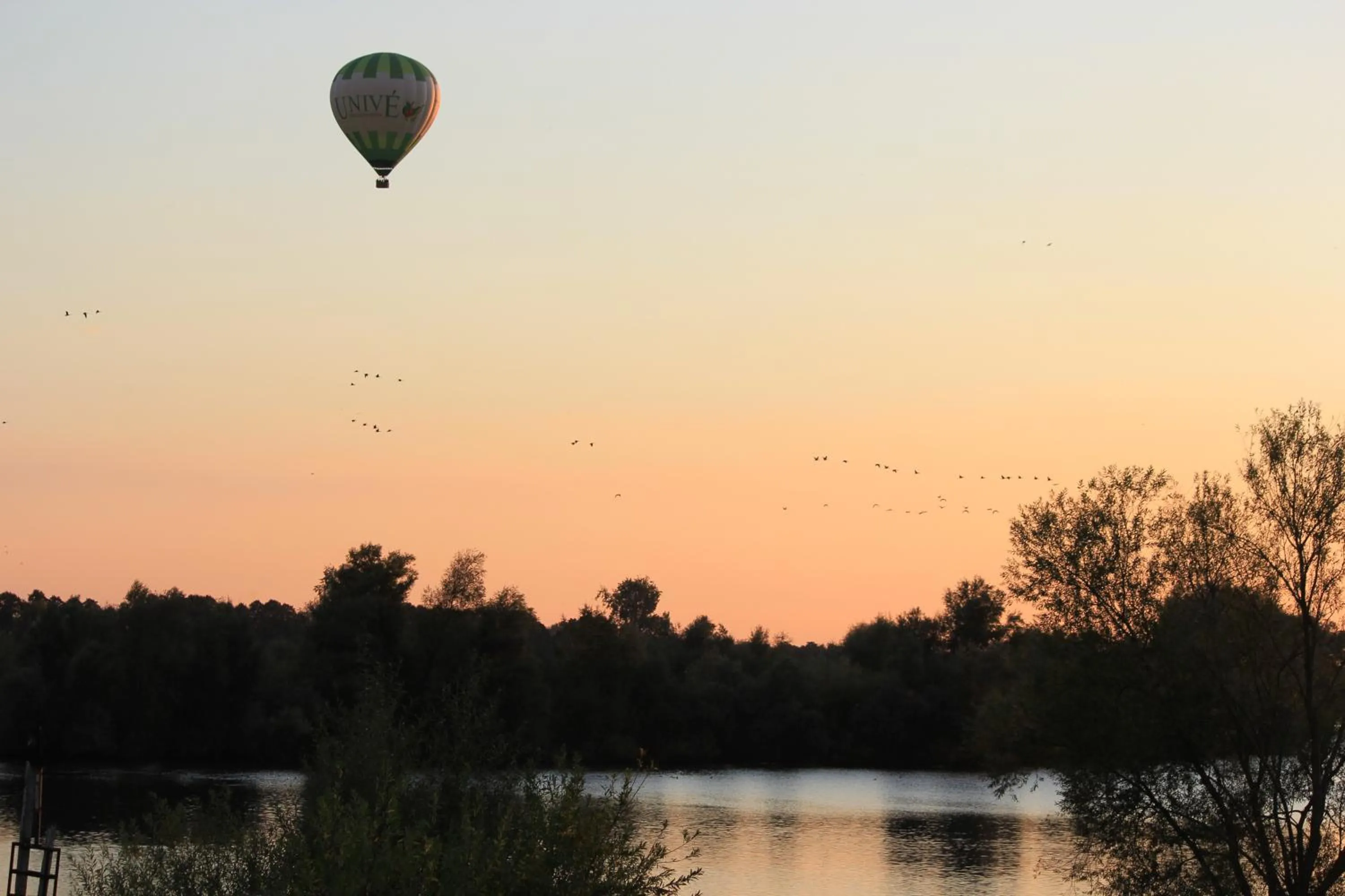 View (from property/room) in Hotel Restaurant Zalen Hoogeerd