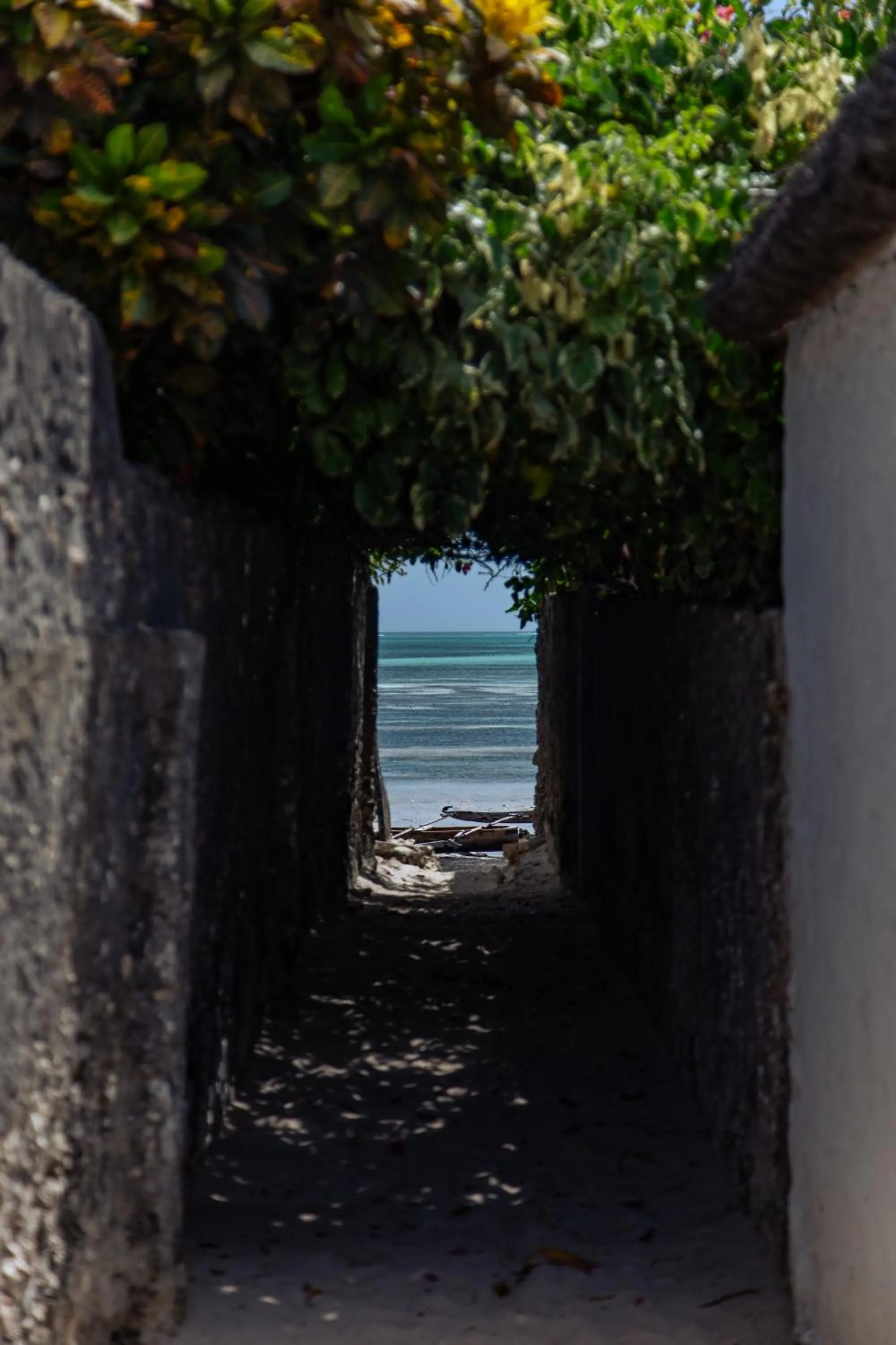 Natural landscape in Babu Villas