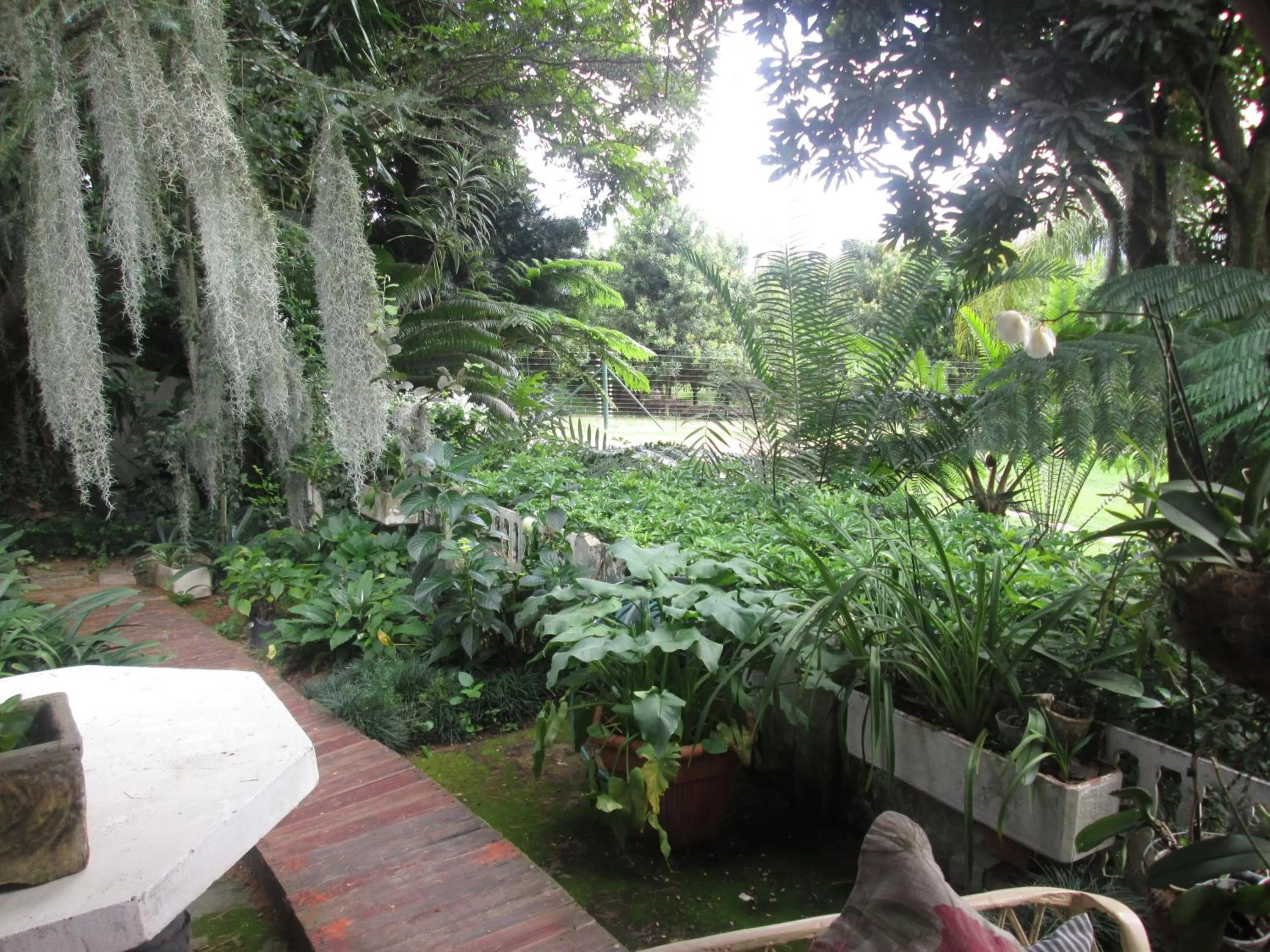 Garden in Almar View Guest House