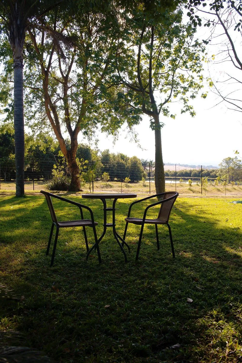 Garden in Almar View Guest House