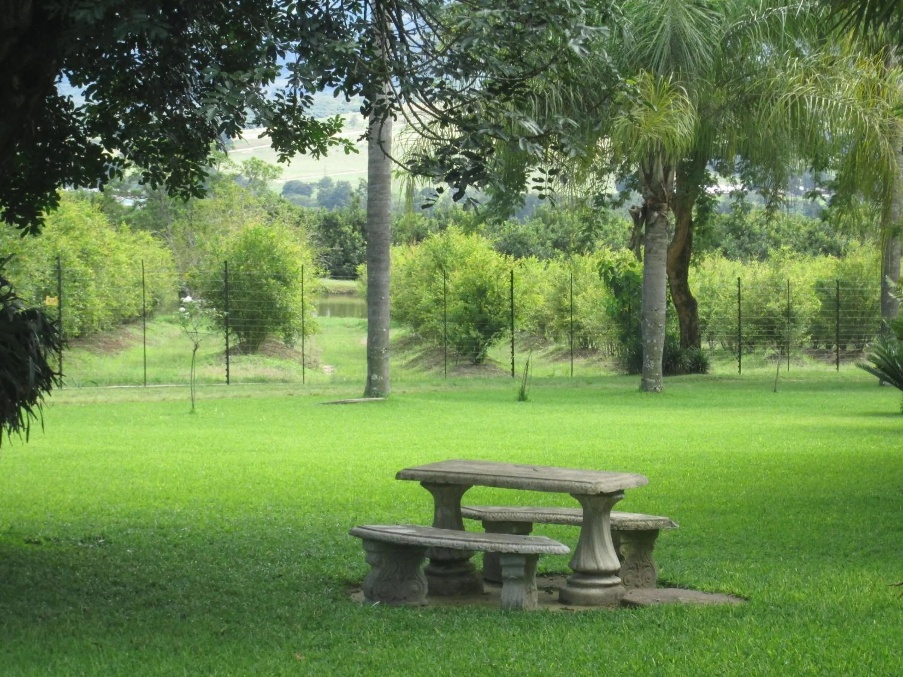 Day in Almar View Guest House