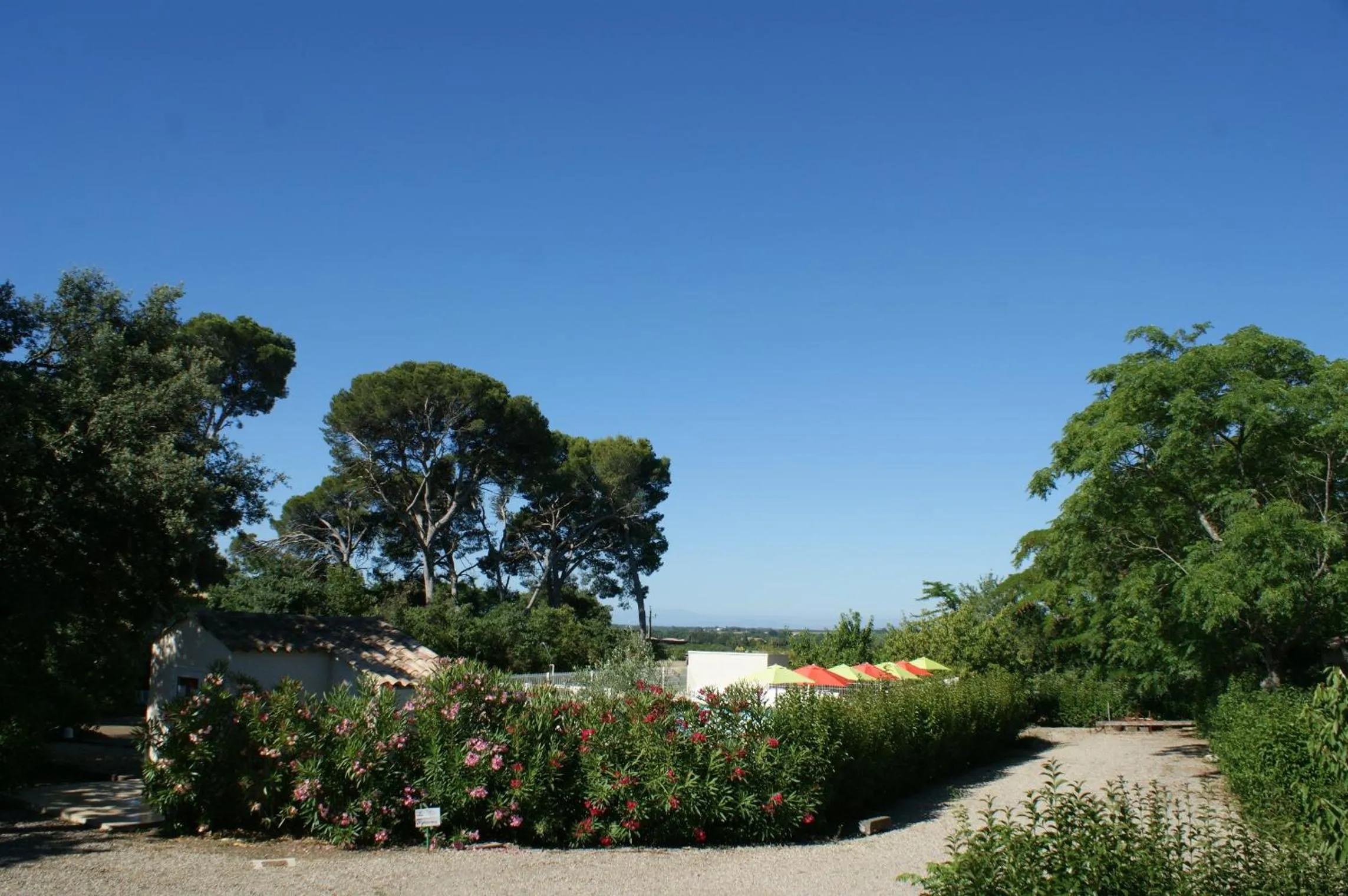 Natural landscape in Chambres d'hôtes La Gardie