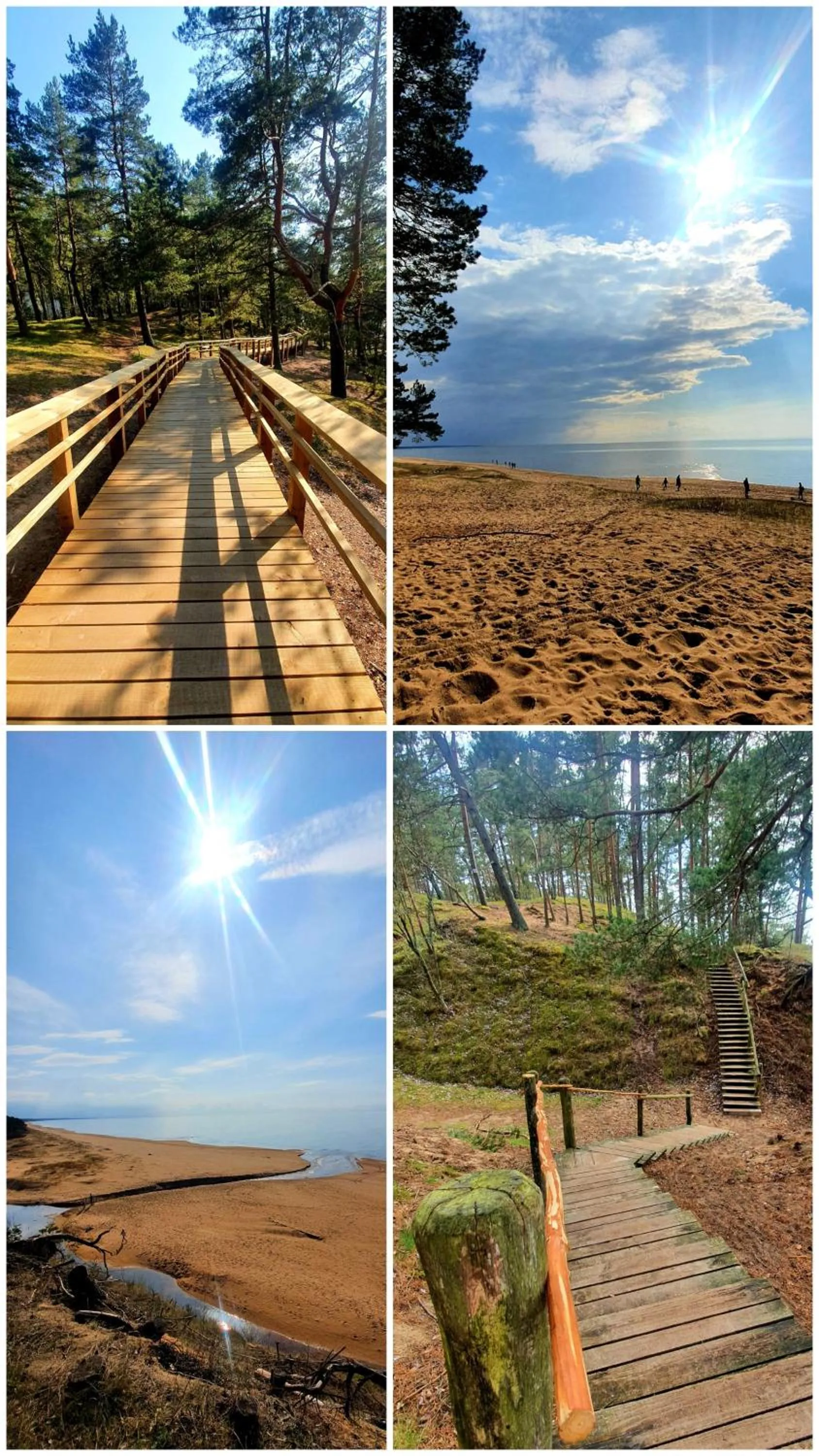 Natural landscape in Saules Club Apart Hotel