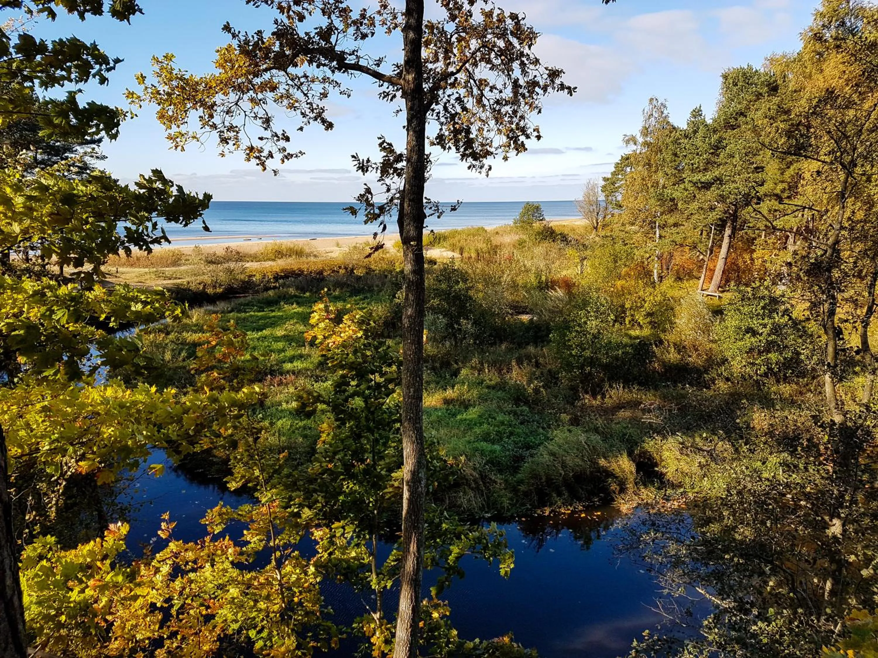 Neighbourhood in Saules Club Apart Hotel