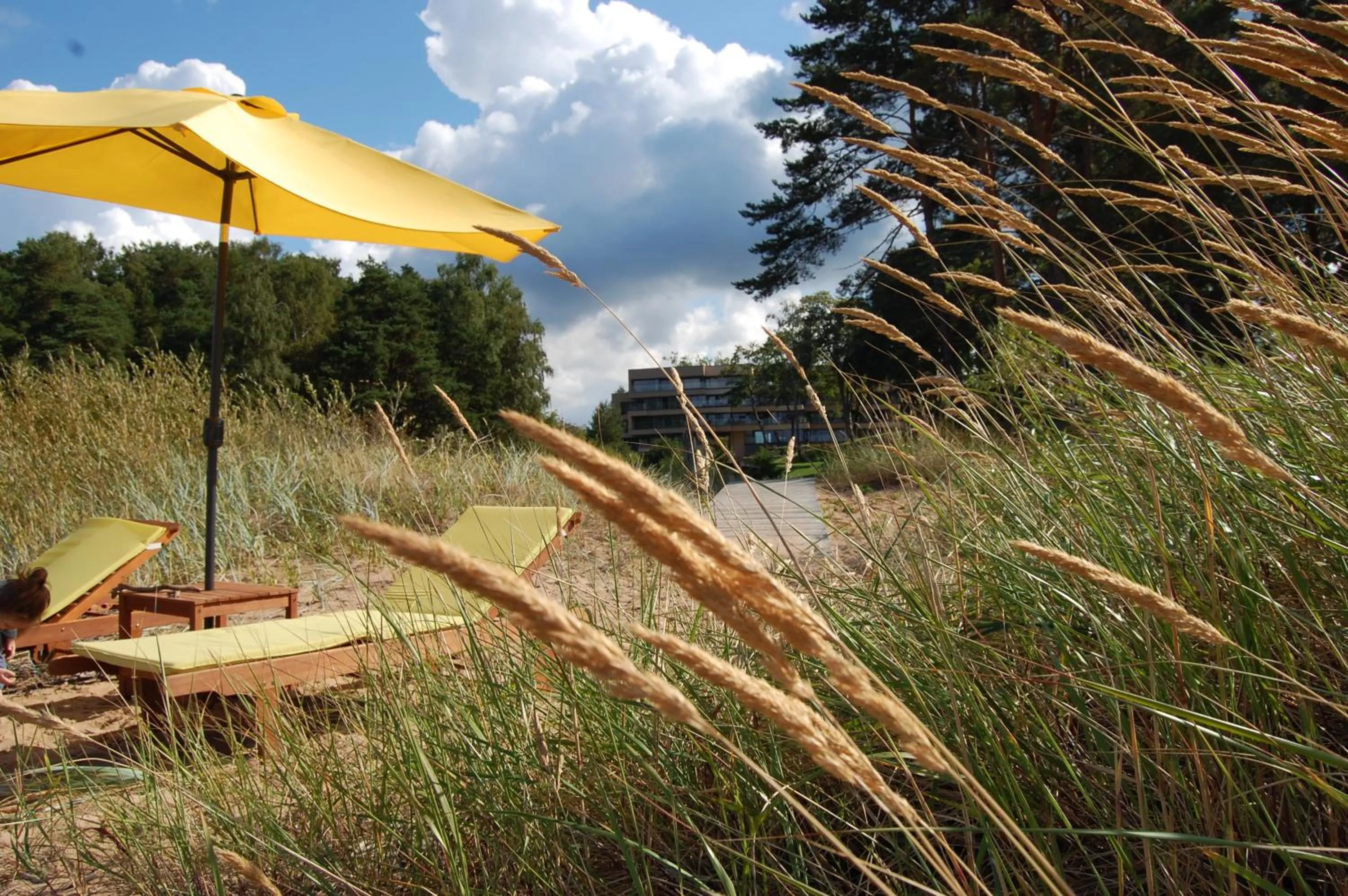 Natural landscape in Saules Club Apart Hotel