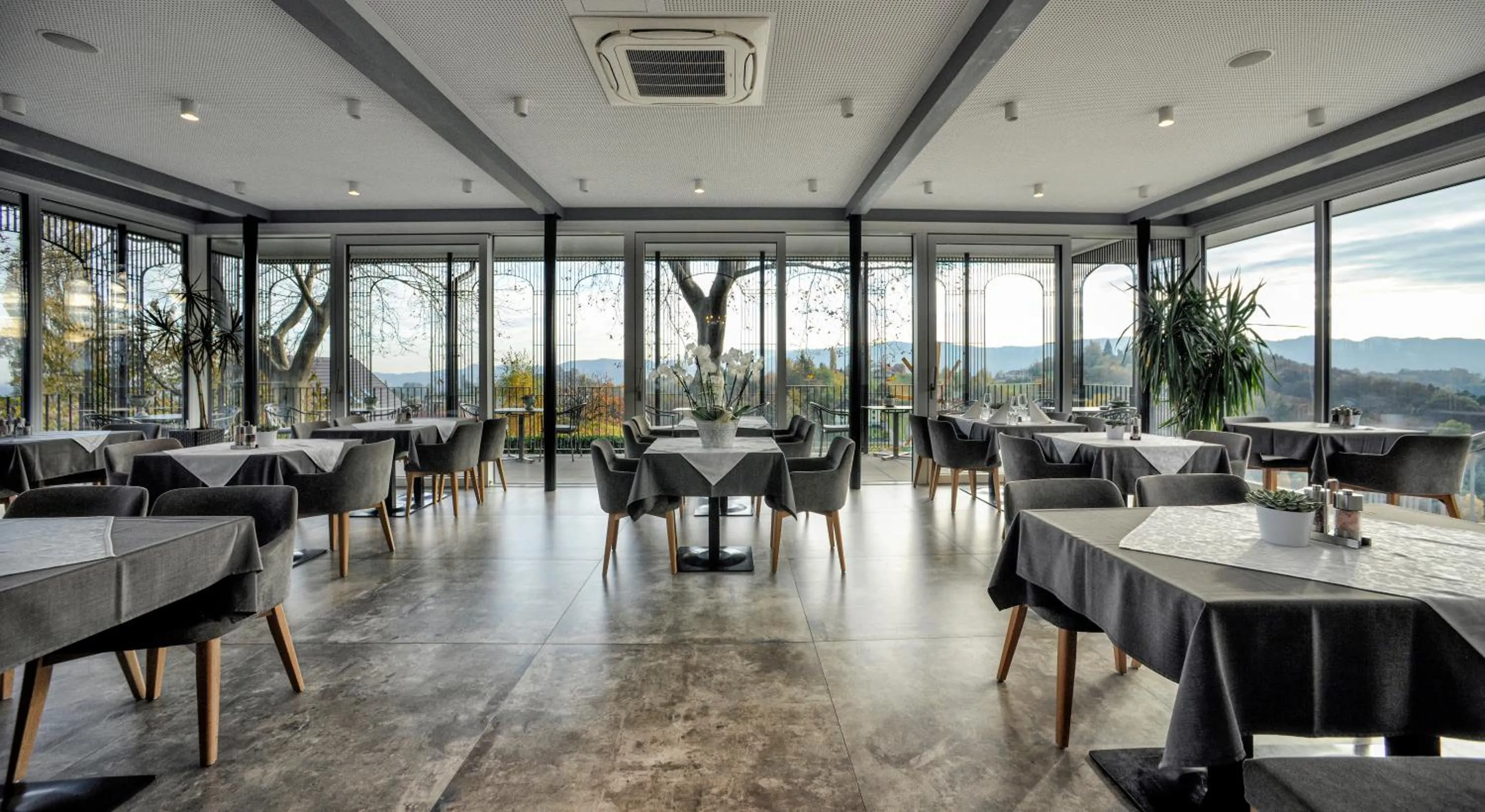 Restaurant/places to eat in Weinrefugium Brolli