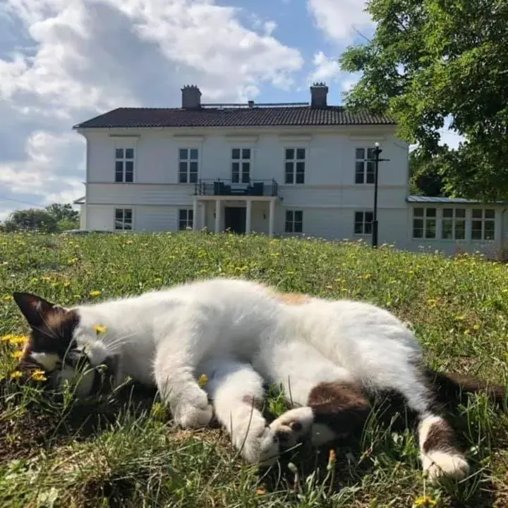 Amiralsgården Verstorp Amiralsgården Verstorp