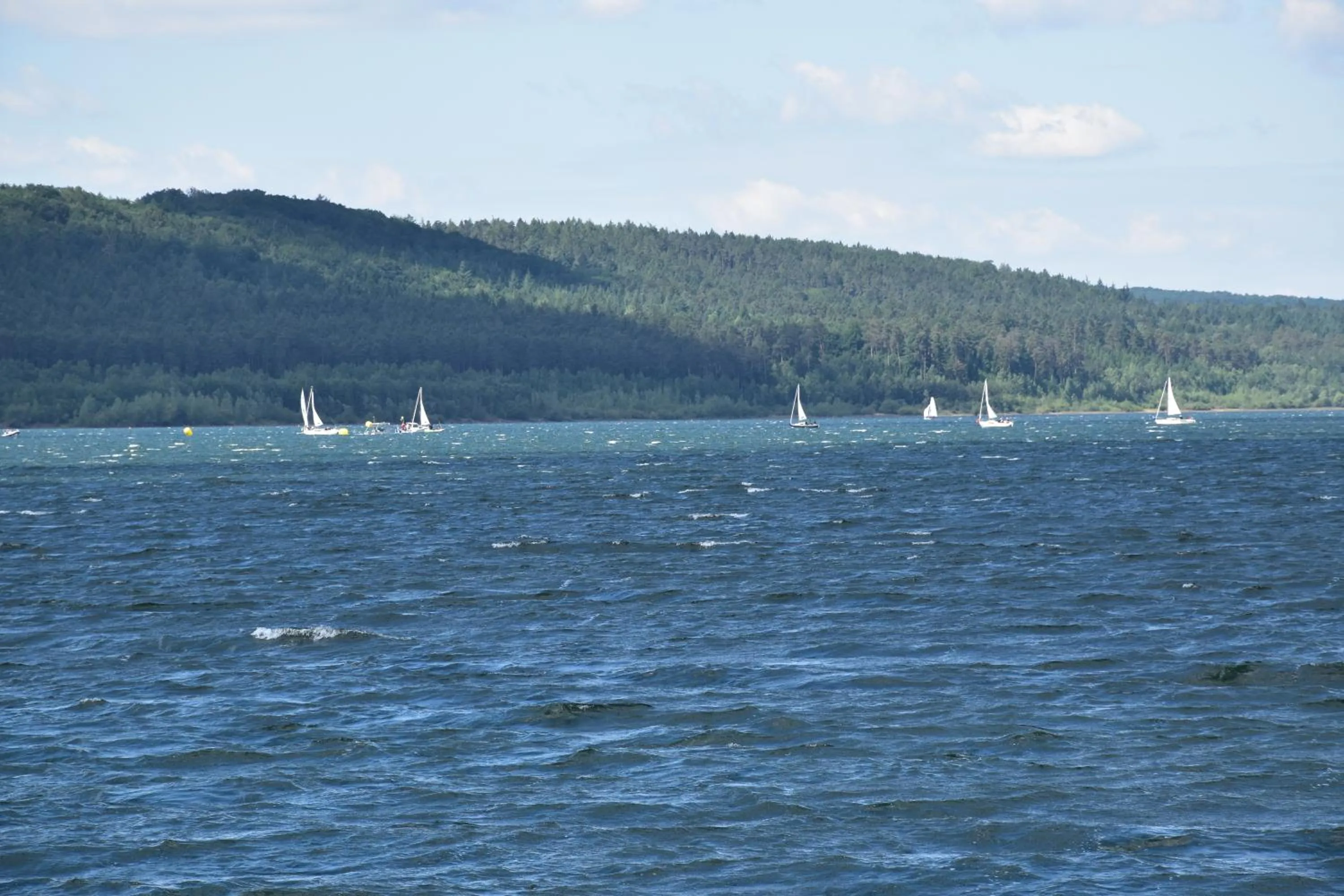 Windsurfing in Landhaus Folk