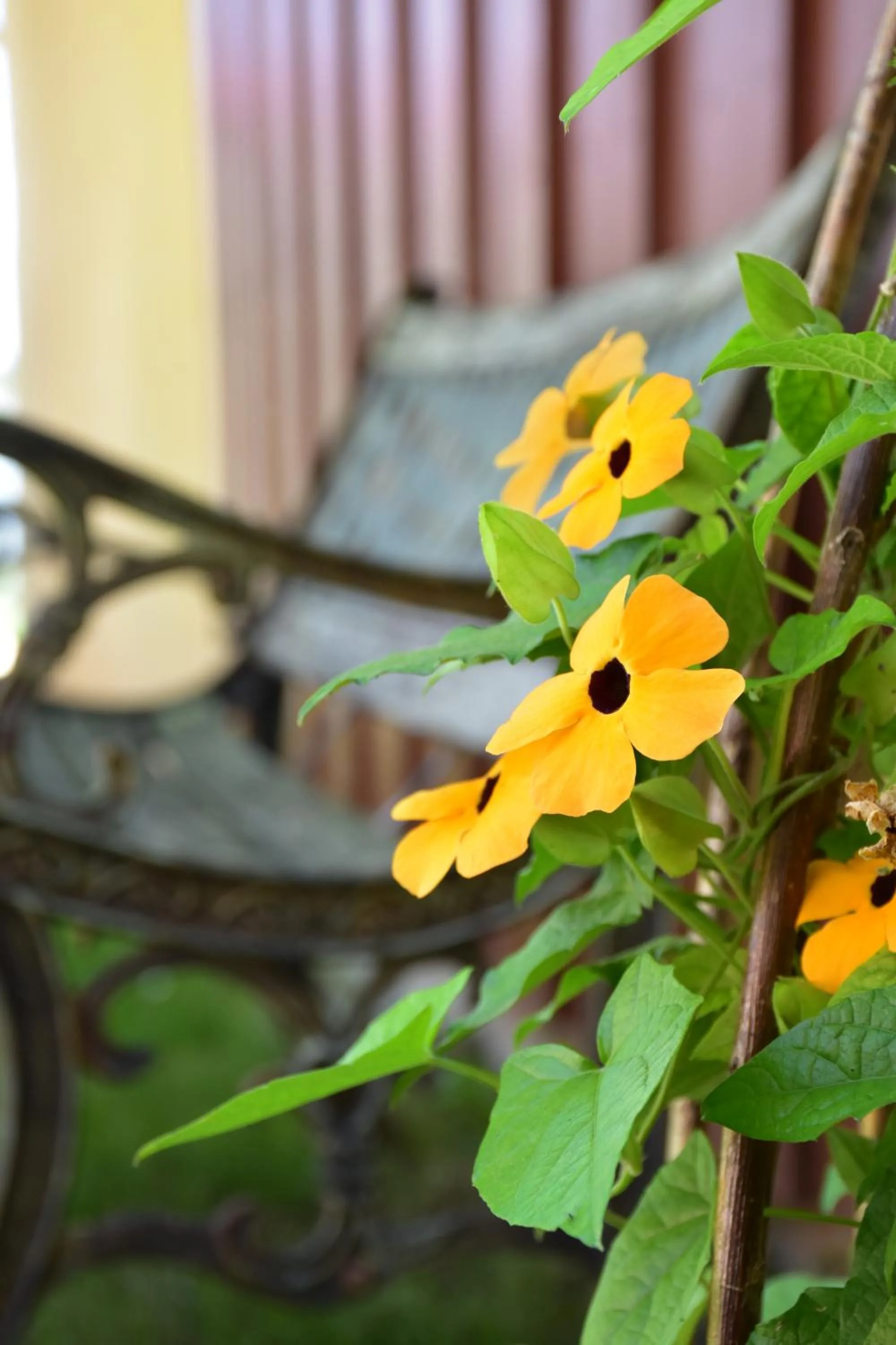 Garden in Landhaus Folk