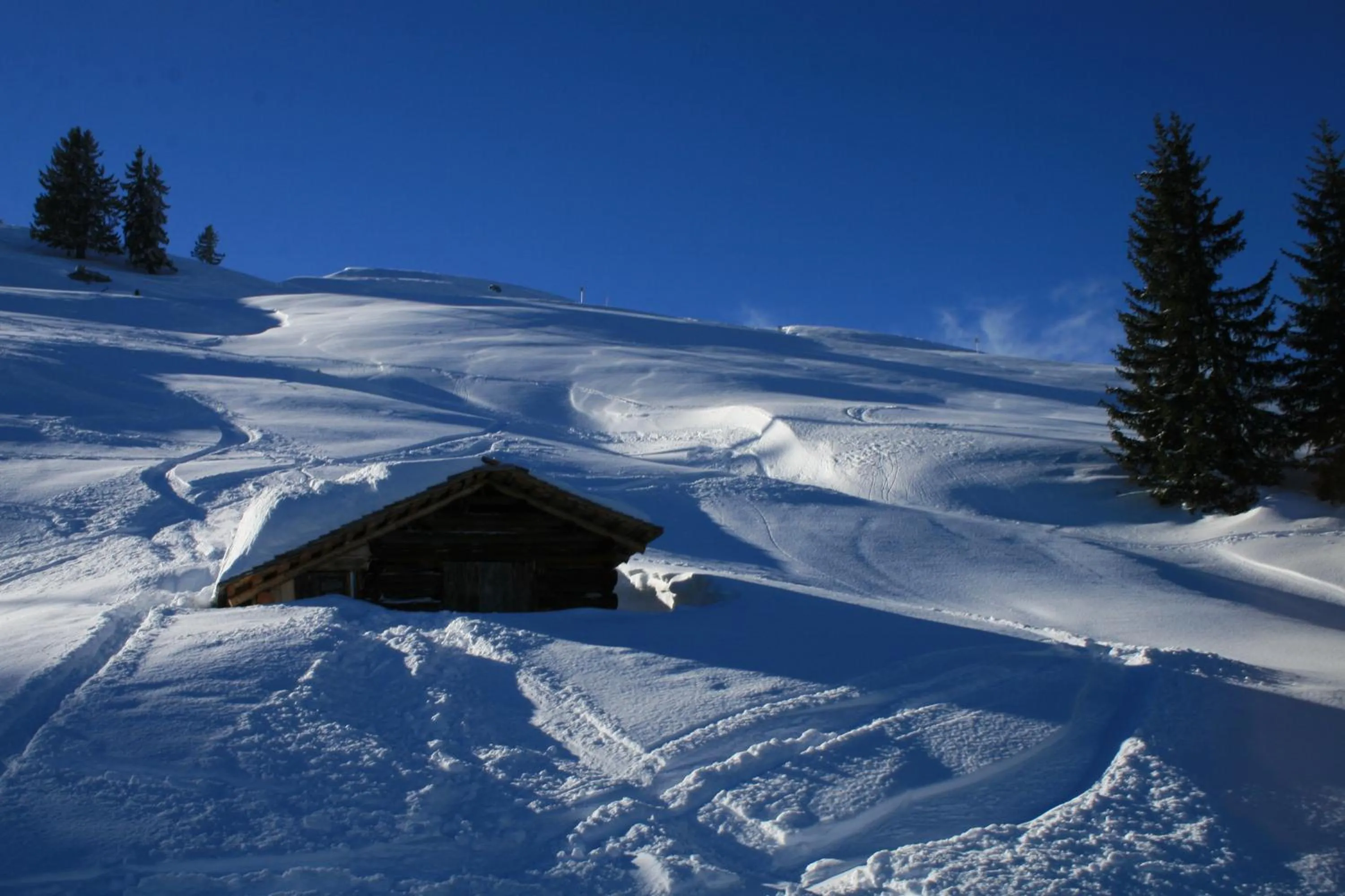 Skiing in Haus am Rain