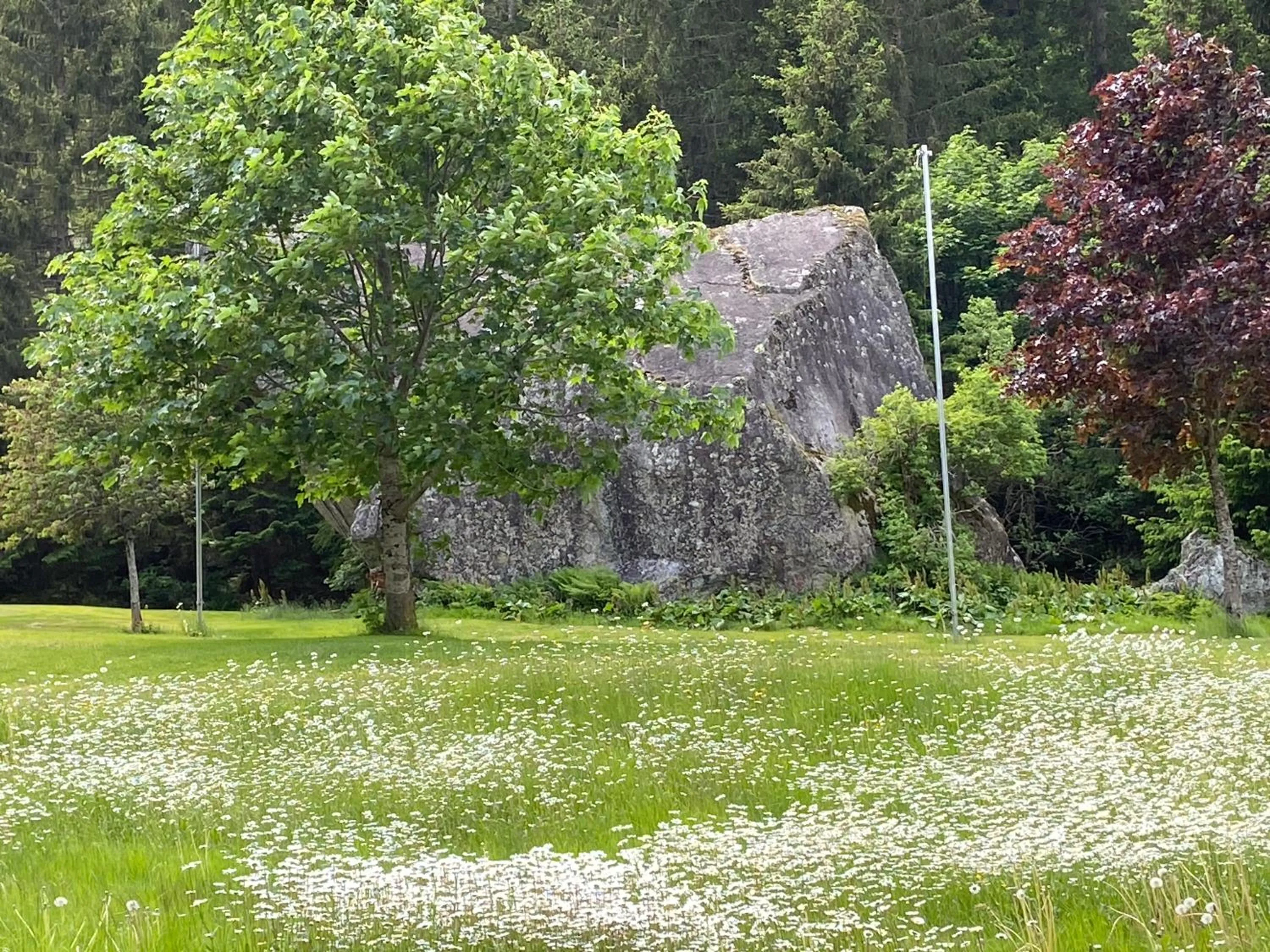 Haus am Rain