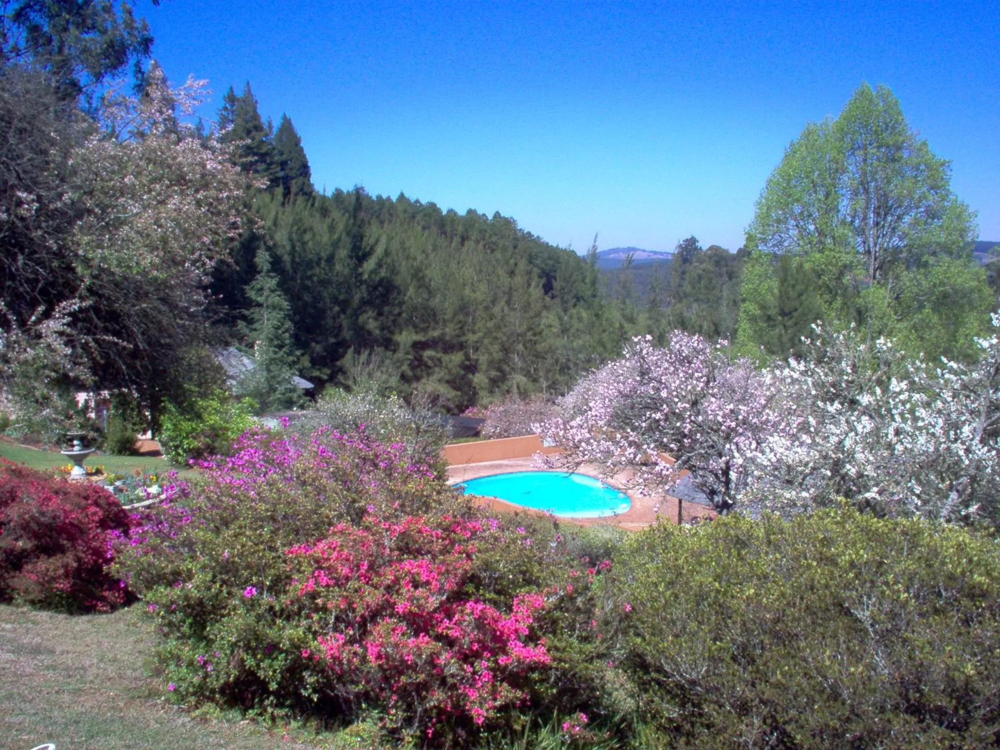Cheerio Trout Fishing & Holiday Resort