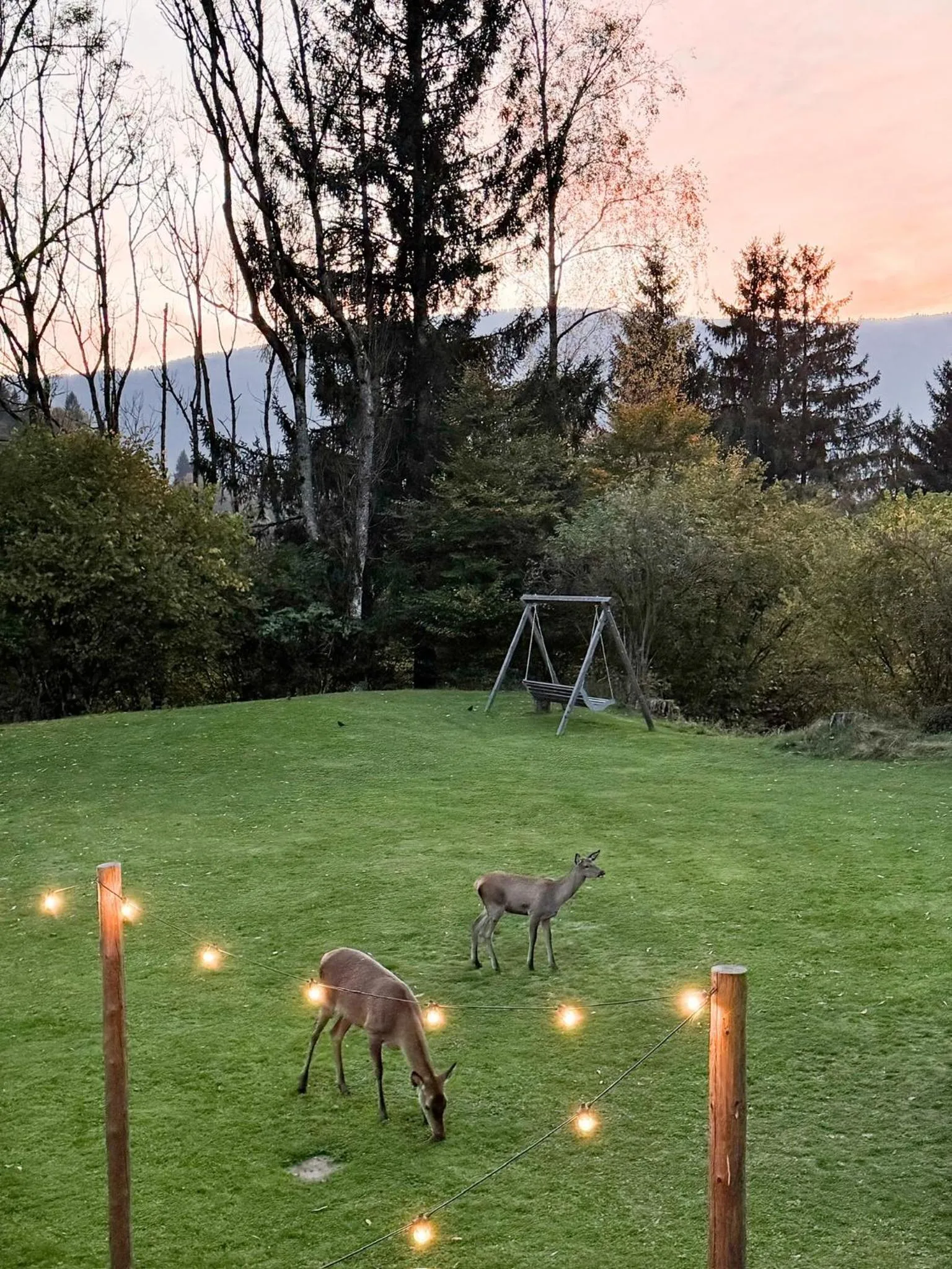 View (from property/room) in Pension Gasthof Arriach