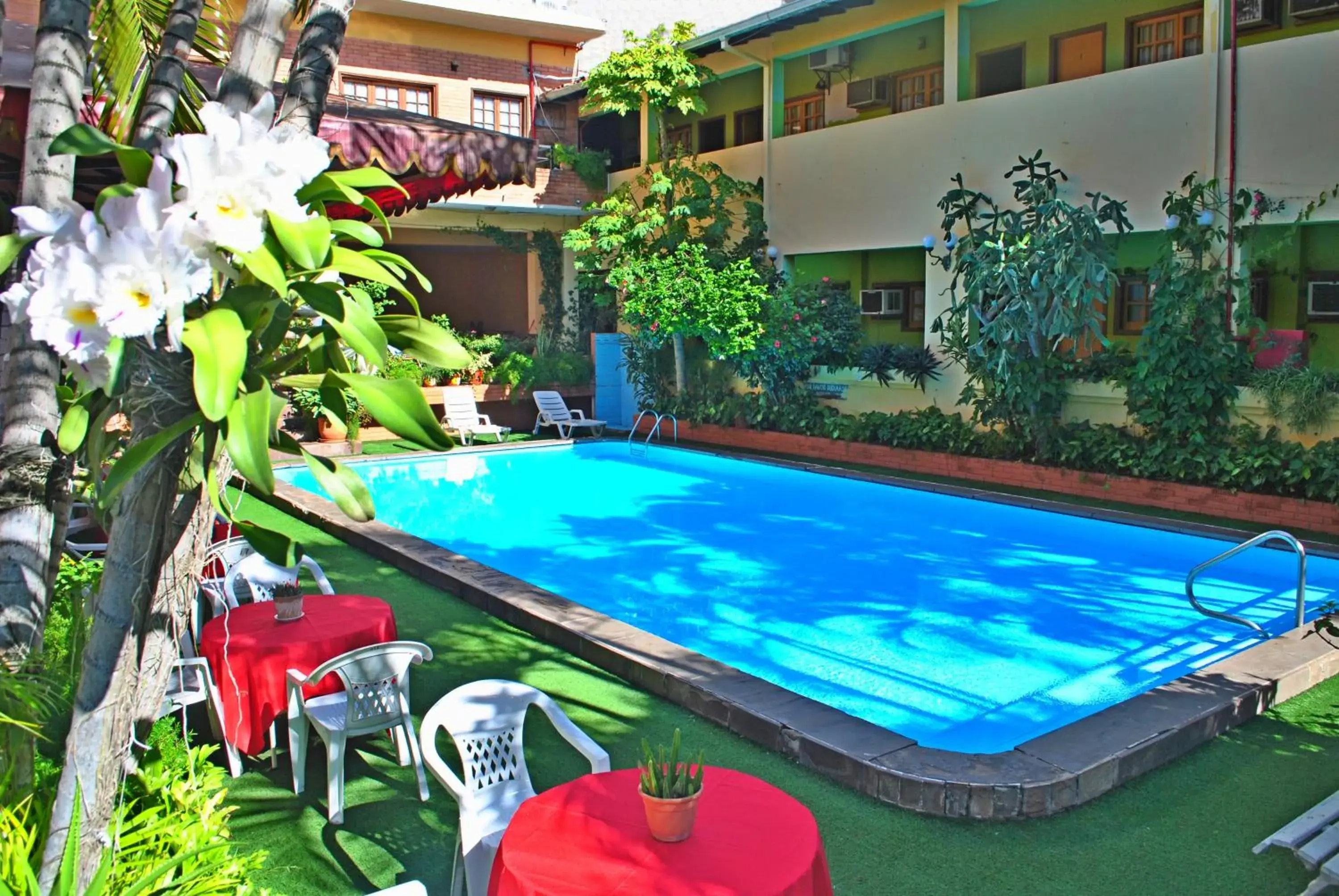 Swimming pool in Hotel Santo Domingo Swimming pool in Hotel Santo Domingo