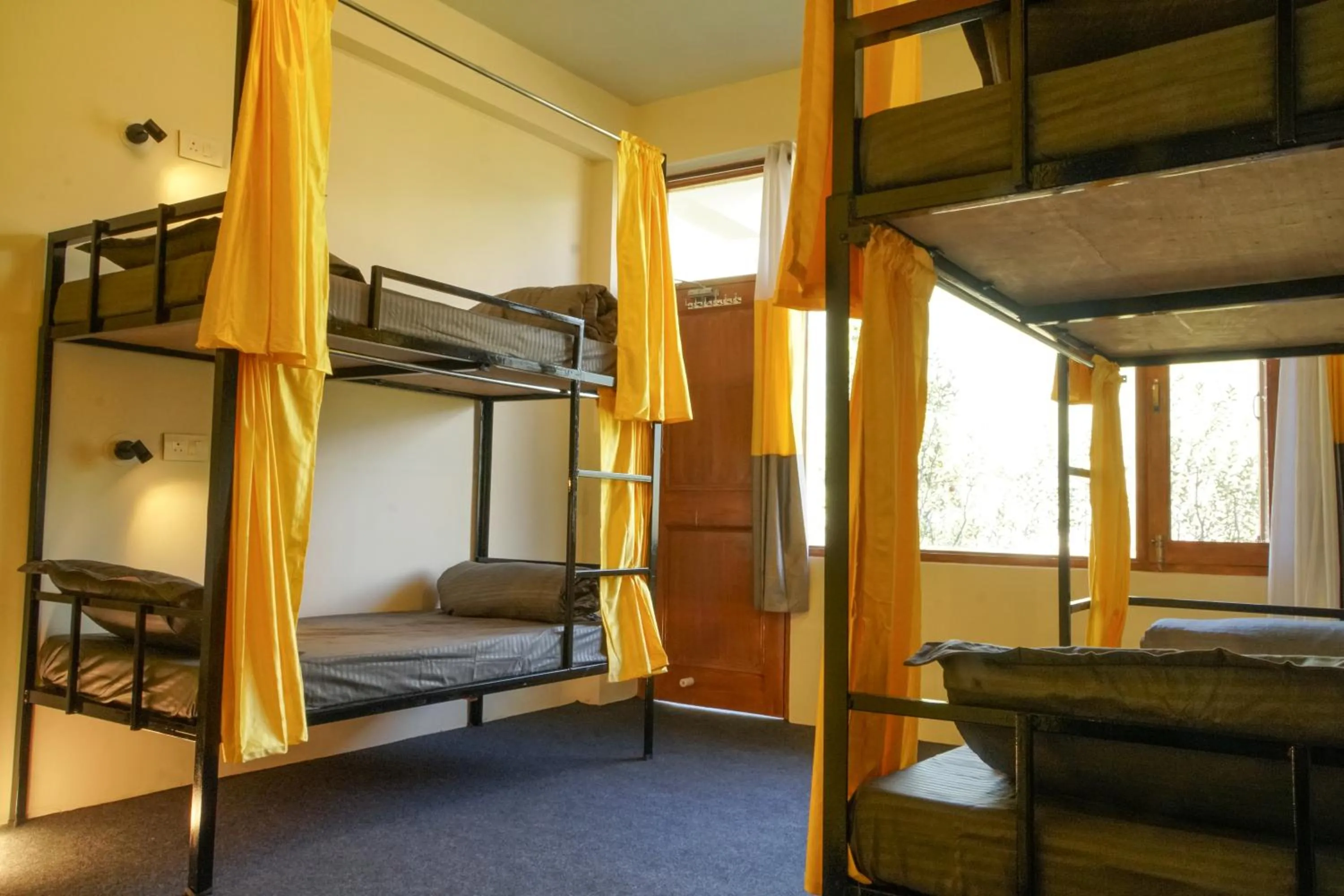 Photo of the whole room, Bed in Firefly Hostel