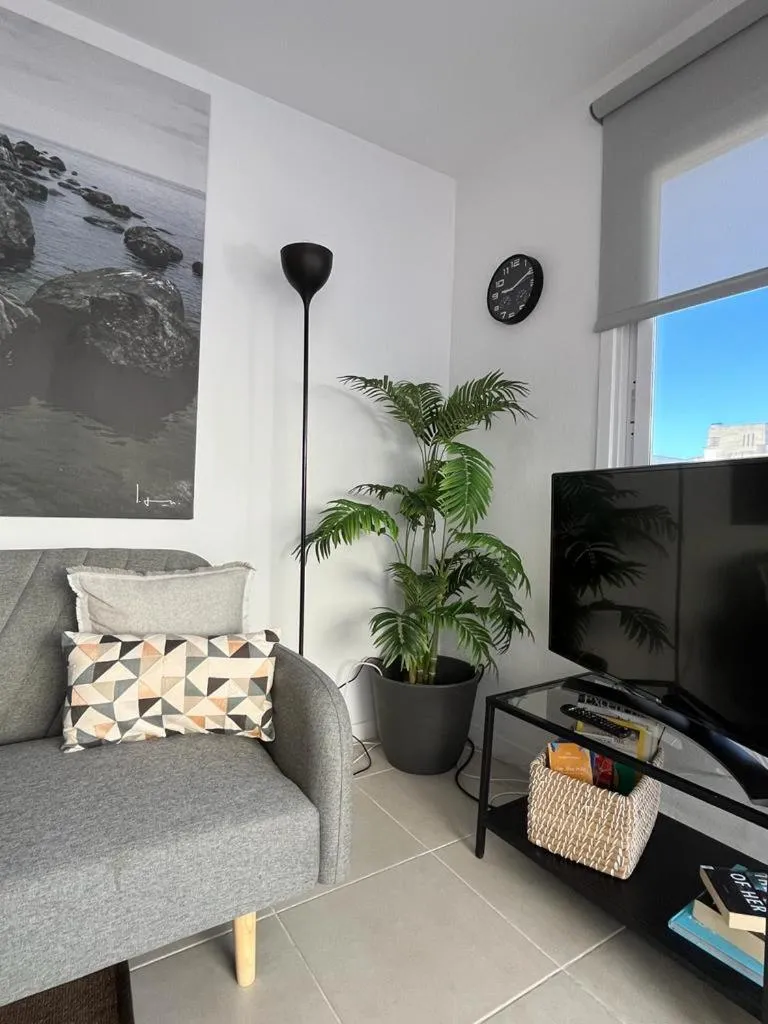 Sunny Cozy & Pretty Penthouse in Central SC