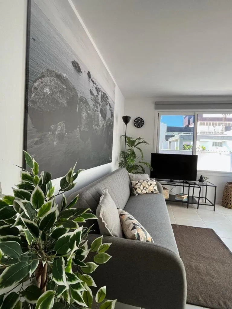 Sunny Cozy & Pretty Penthouse in Central SC