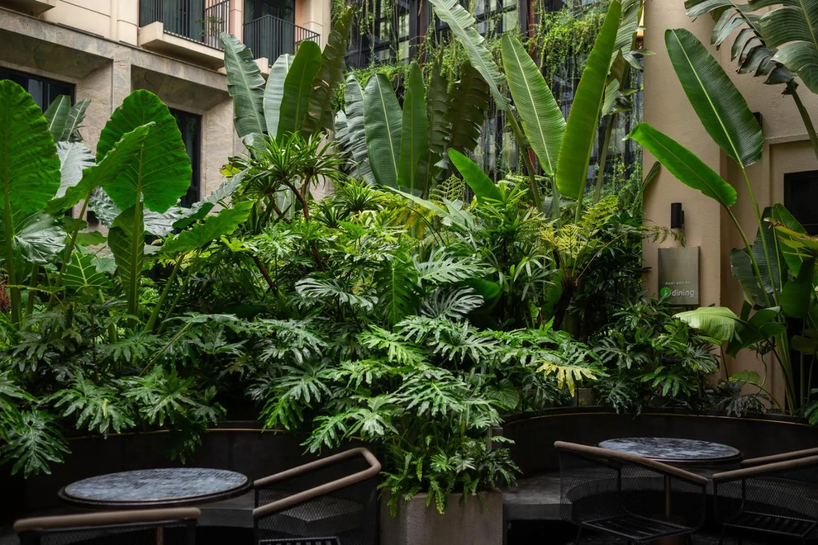 Garden in REY Hotel Hanoi