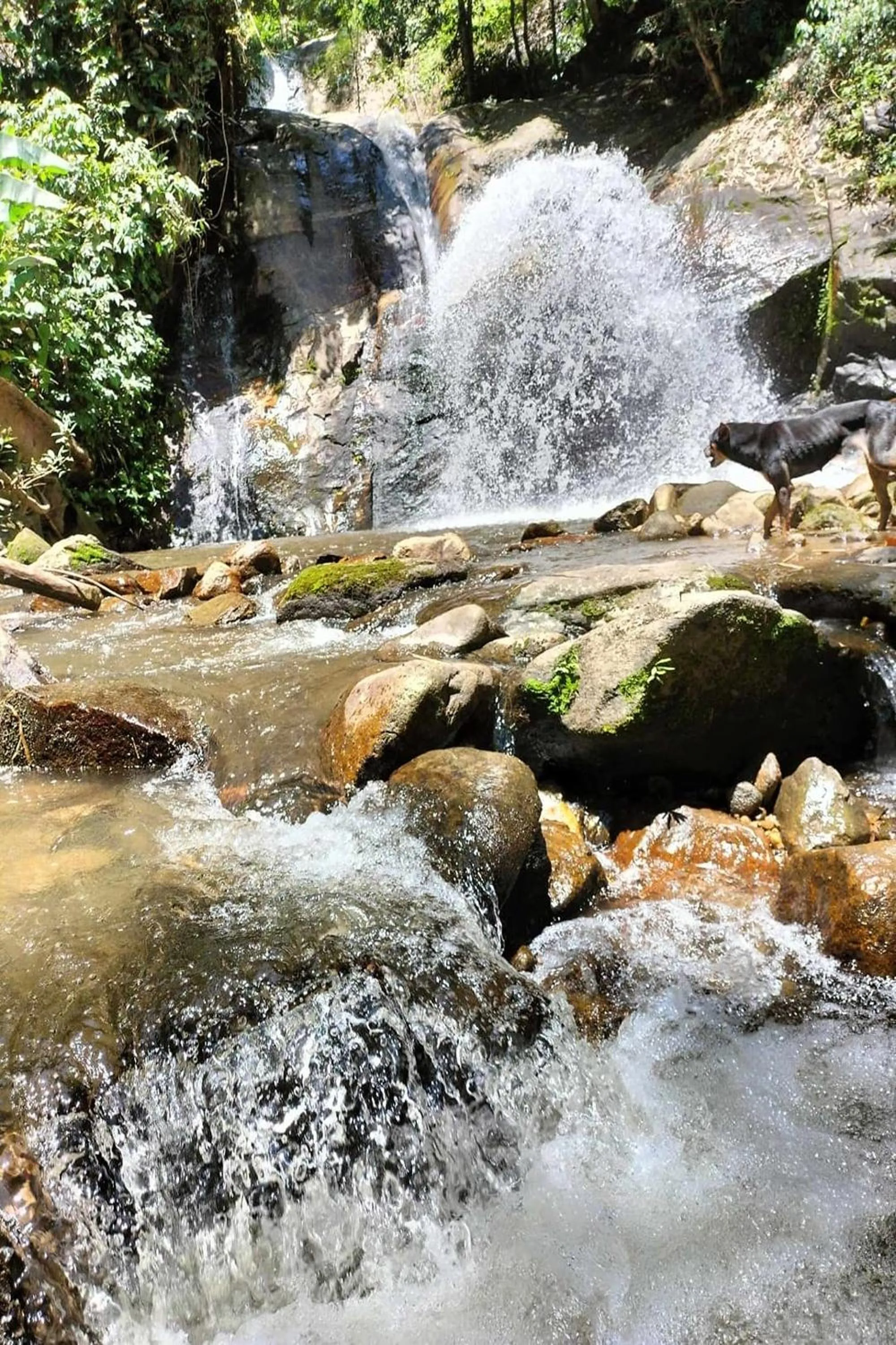 River view in Doi PuMuen LAHU Homestay