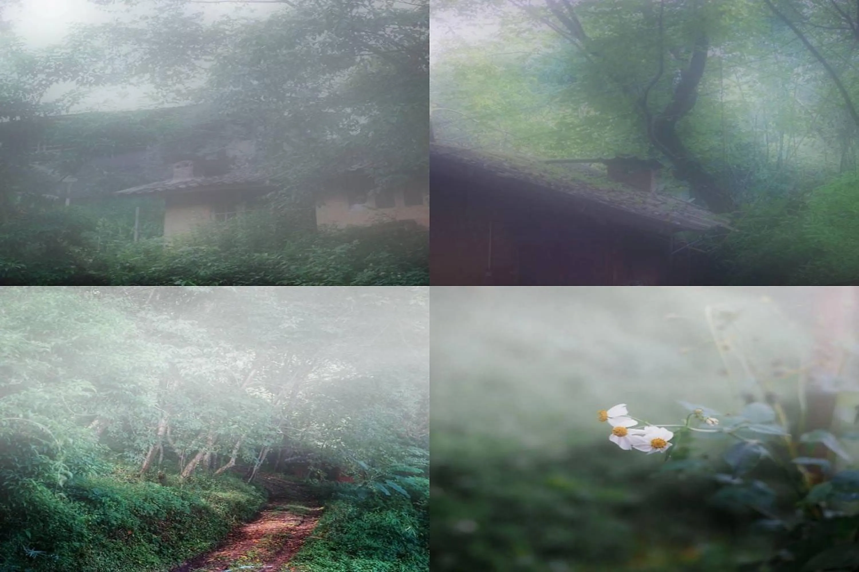 Natural landscape in Doi PuMuen LAHU Homestay