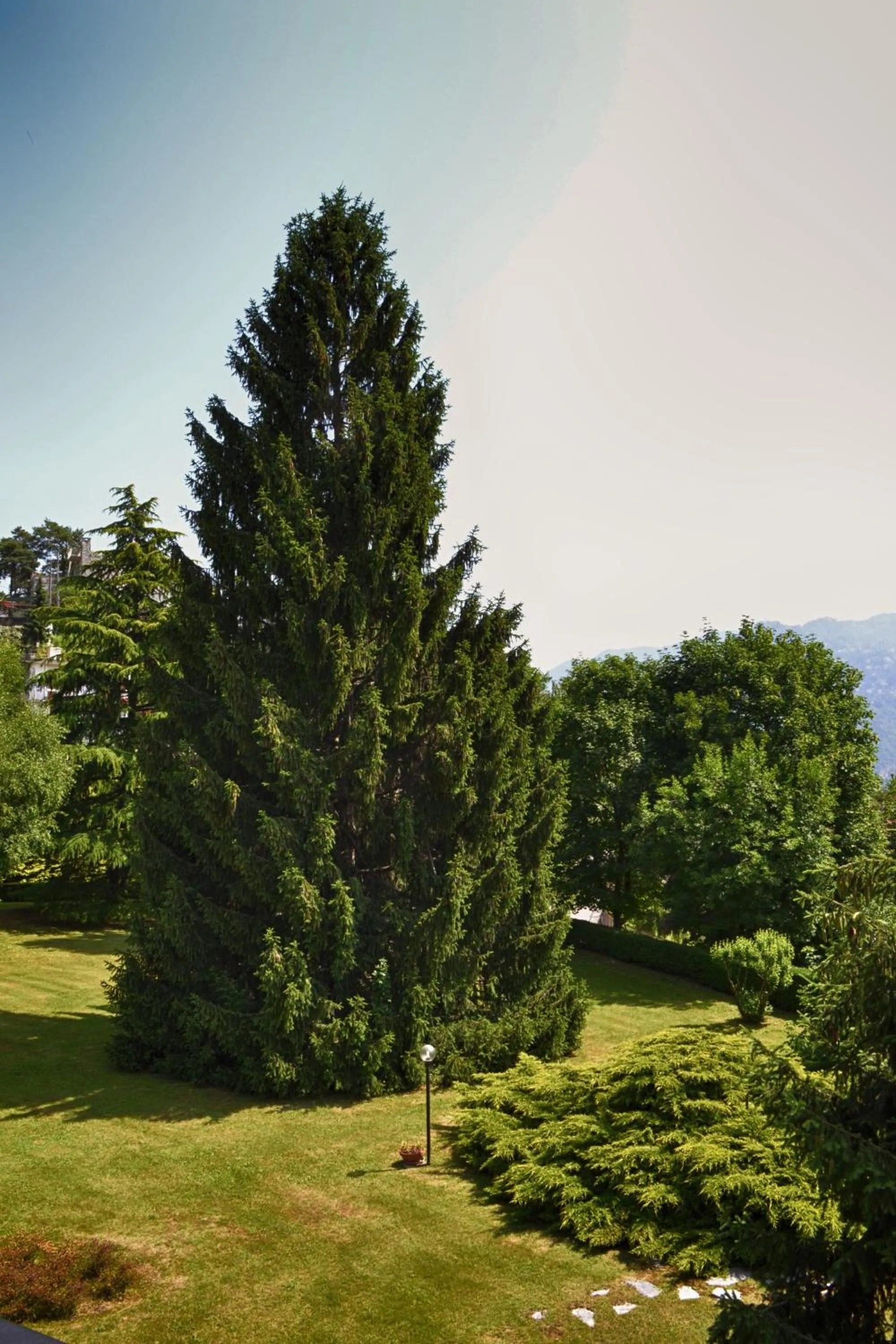 Garden in Chic and Freak Como