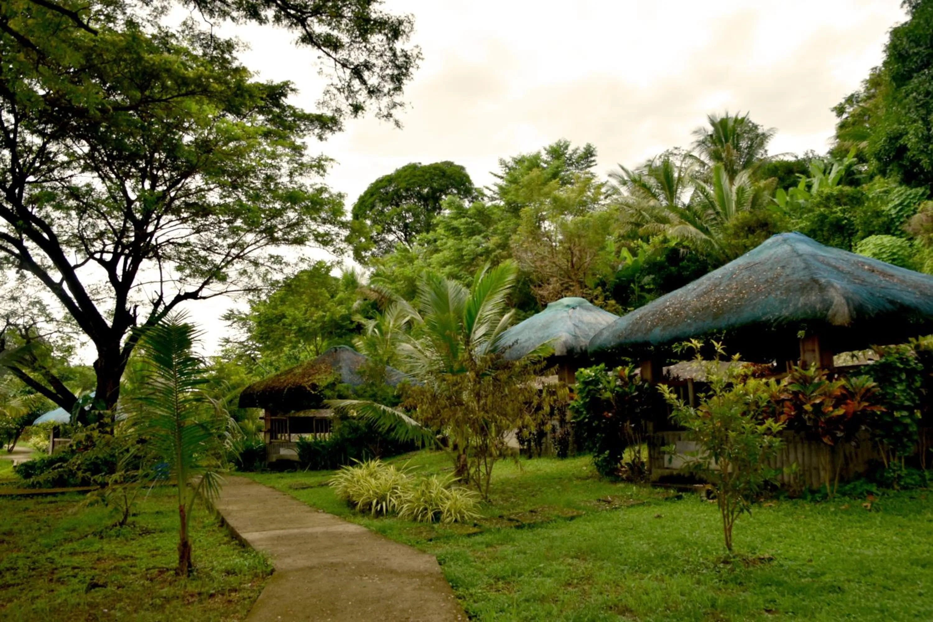 Isla De Oro Hotel
