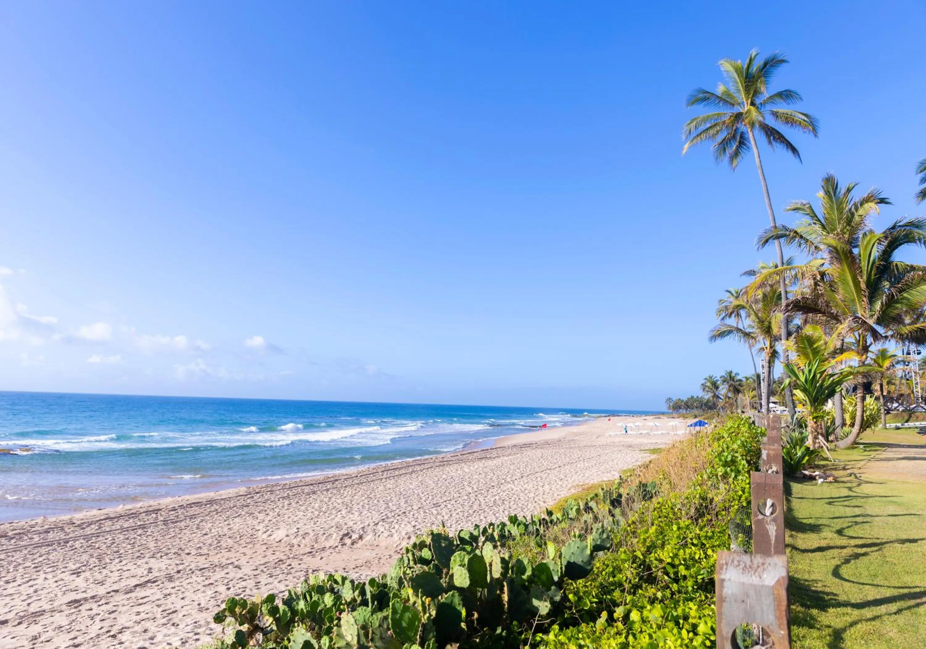 Natural landscape in Catussaba Suítes Resort
