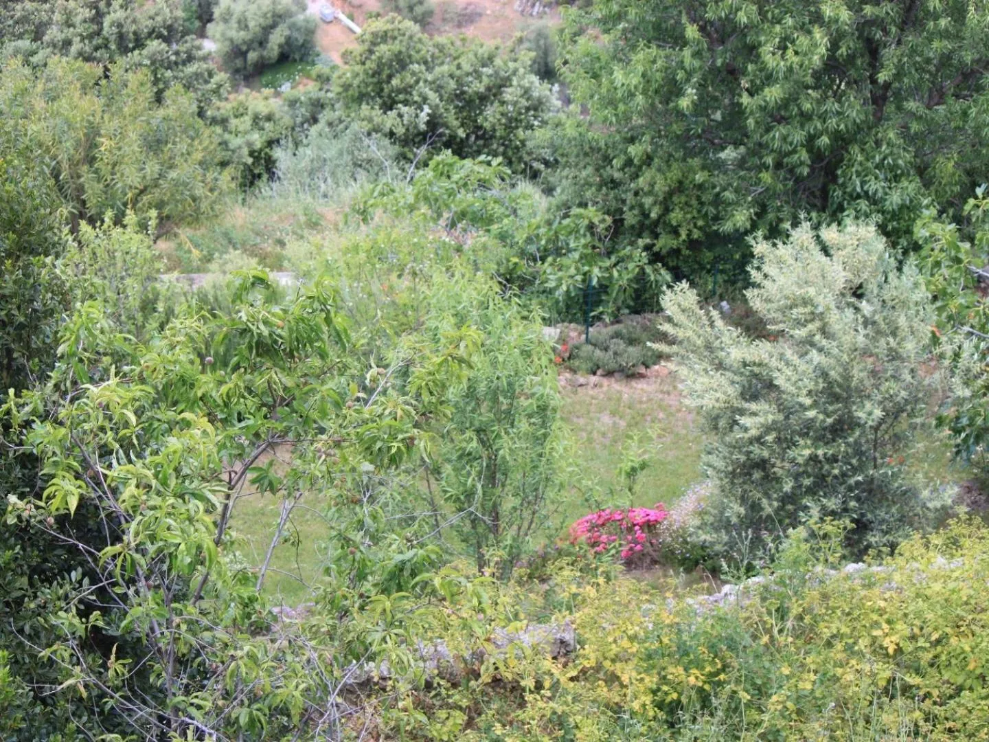 Garden in Hôtel Le Niobel