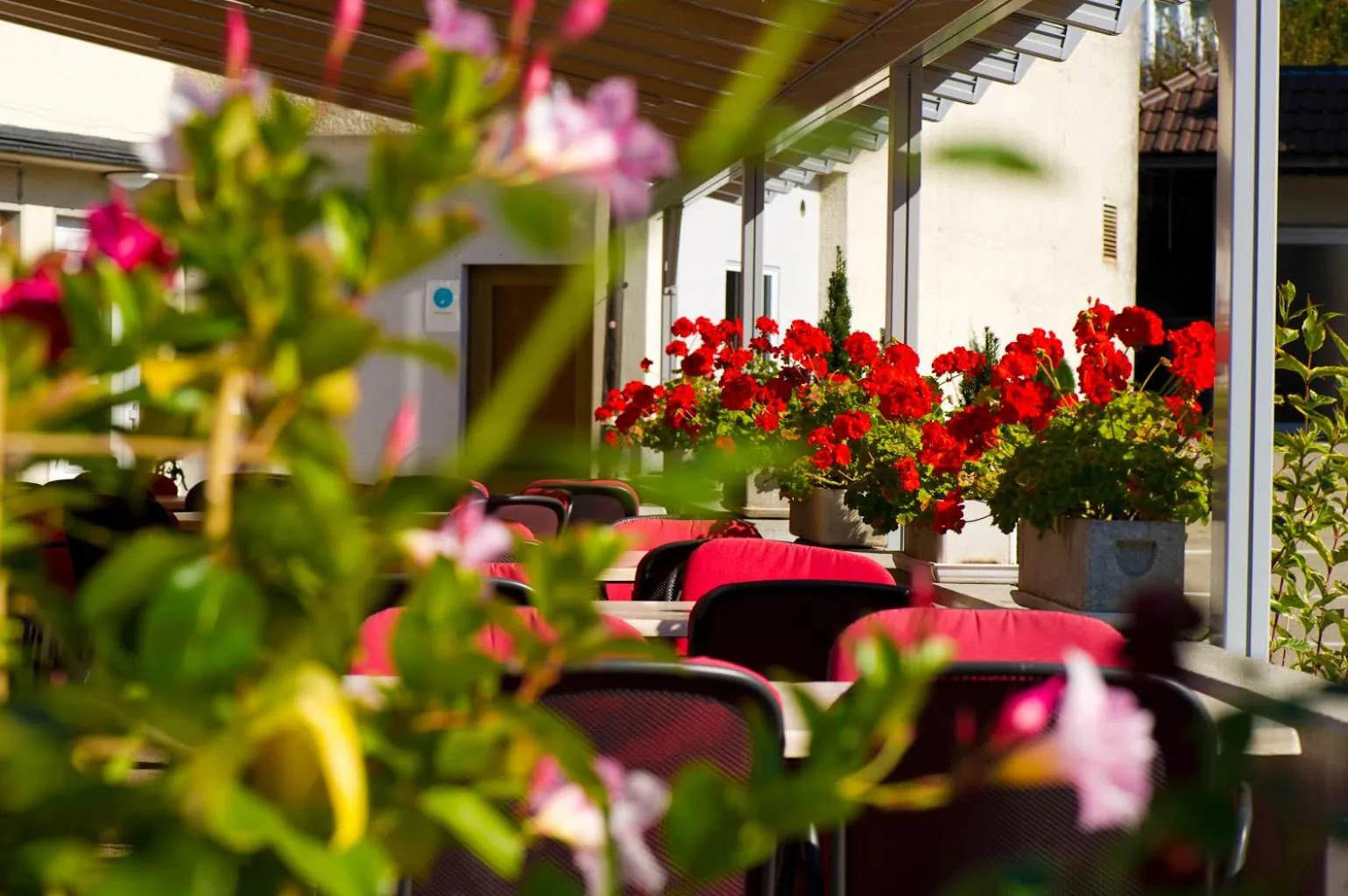 Gasthof zum Wilden Mann