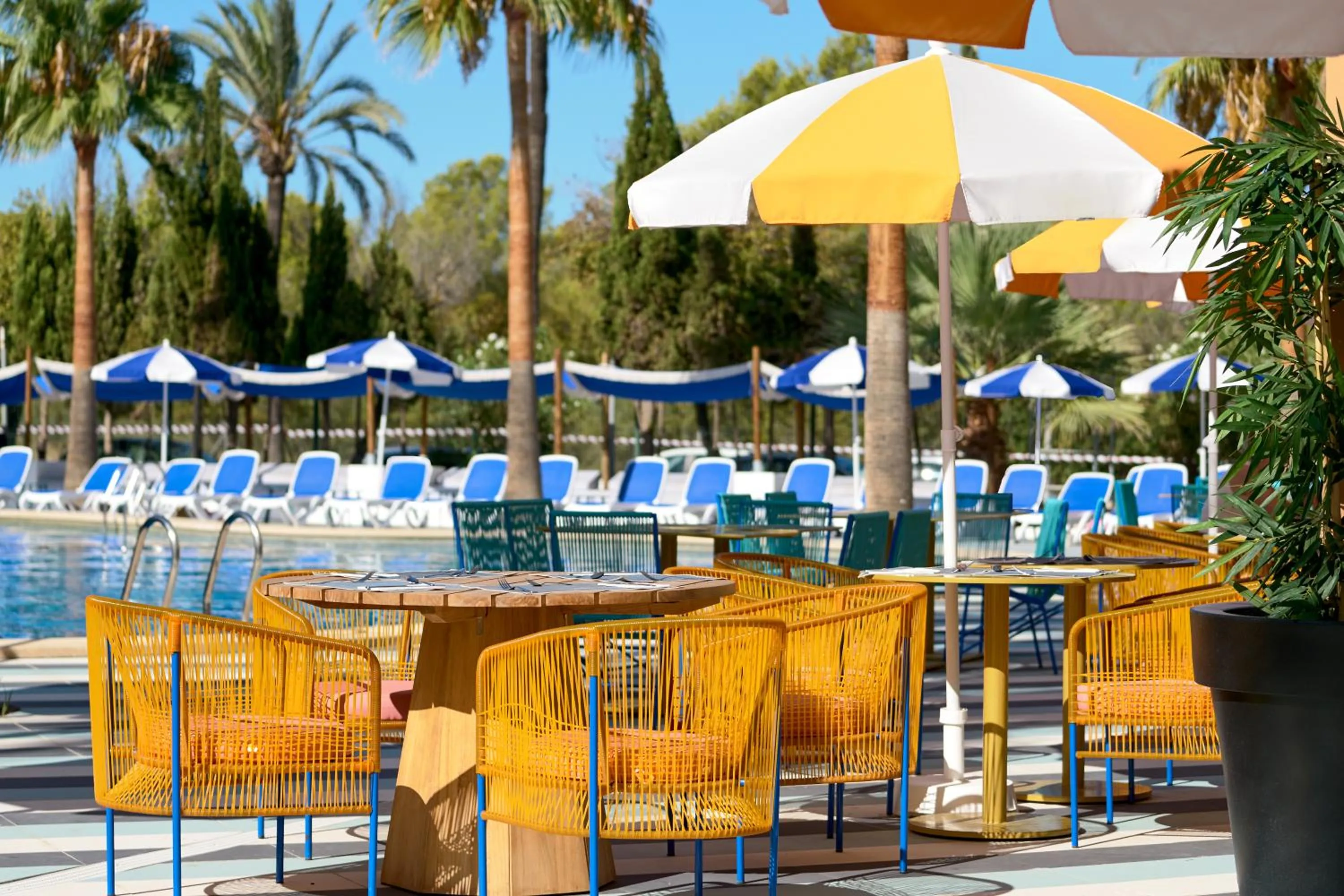 Day in tent Mojito Suites