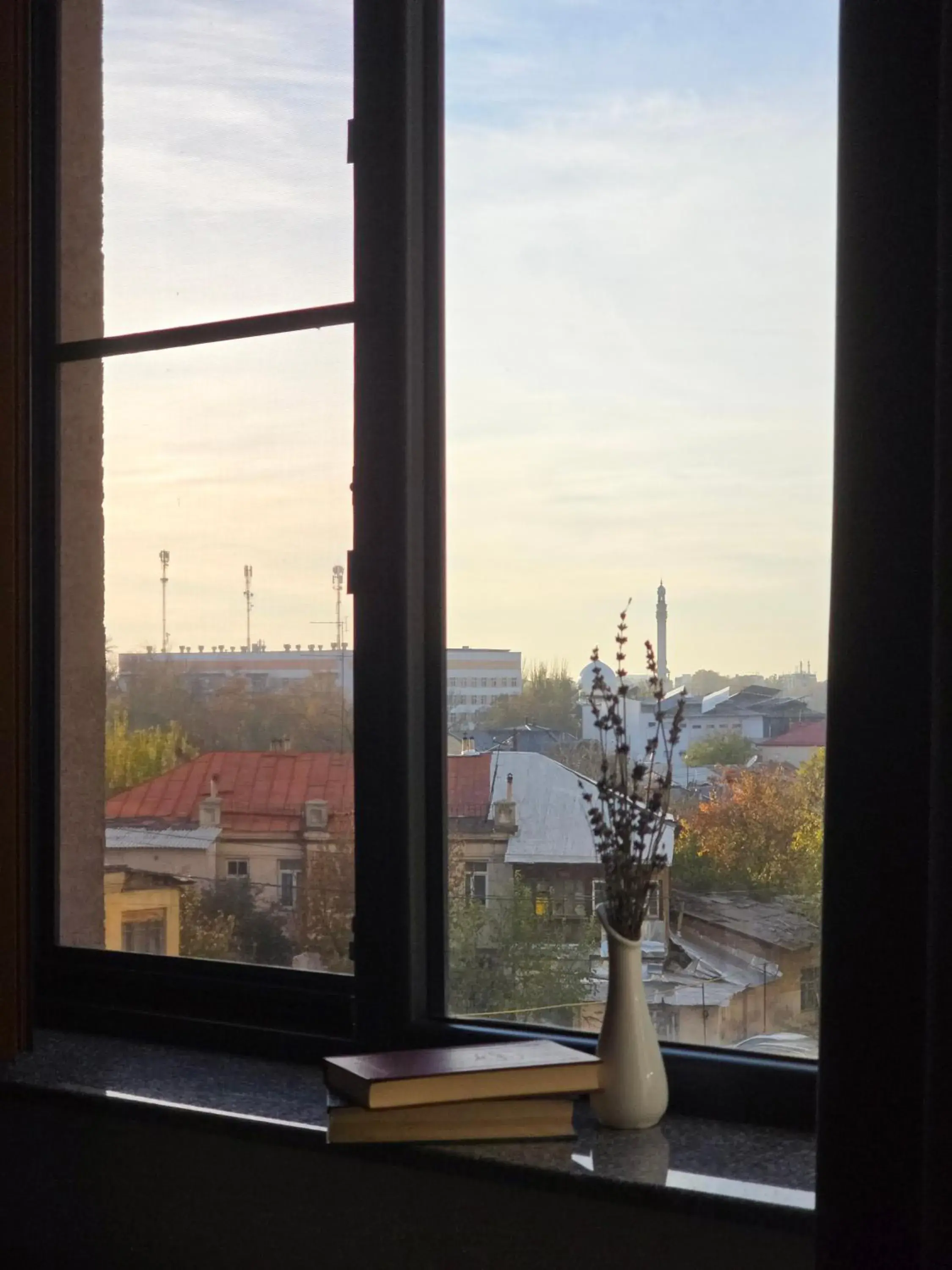 View (from property/room) in Parklane Hotel View (from property/room) in Parklane Hotel