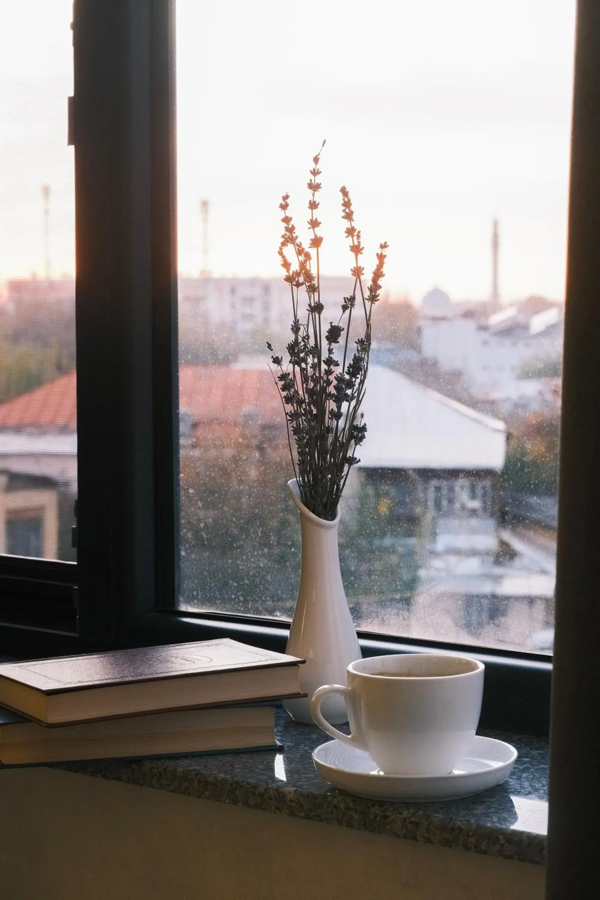 Deluxe Room - single occupancy in Parklane Hotel Deluxe Room - single occupancy in Parklane Hotel