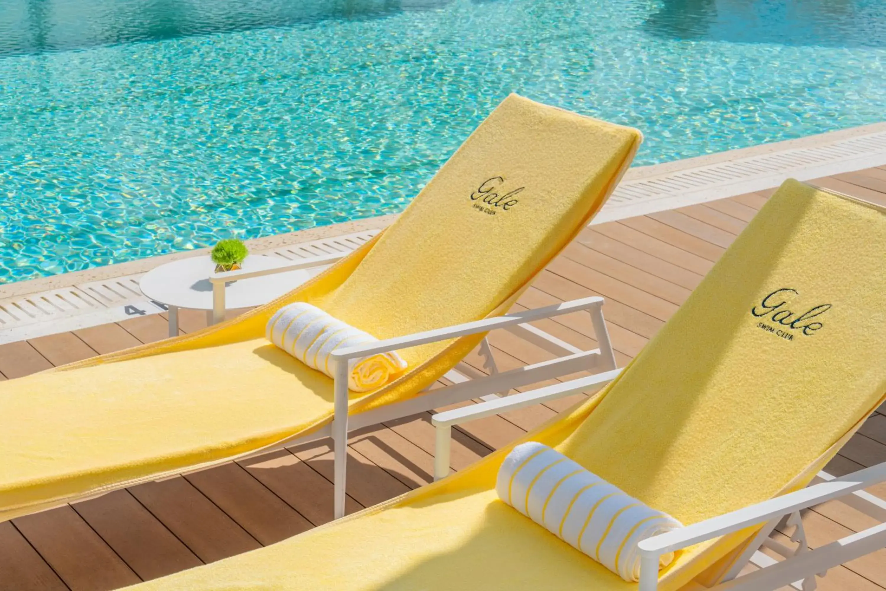 Swimming pool in Gale Miami Hotel & Residences Swimming pool in Gale Miami Hotel & Residences