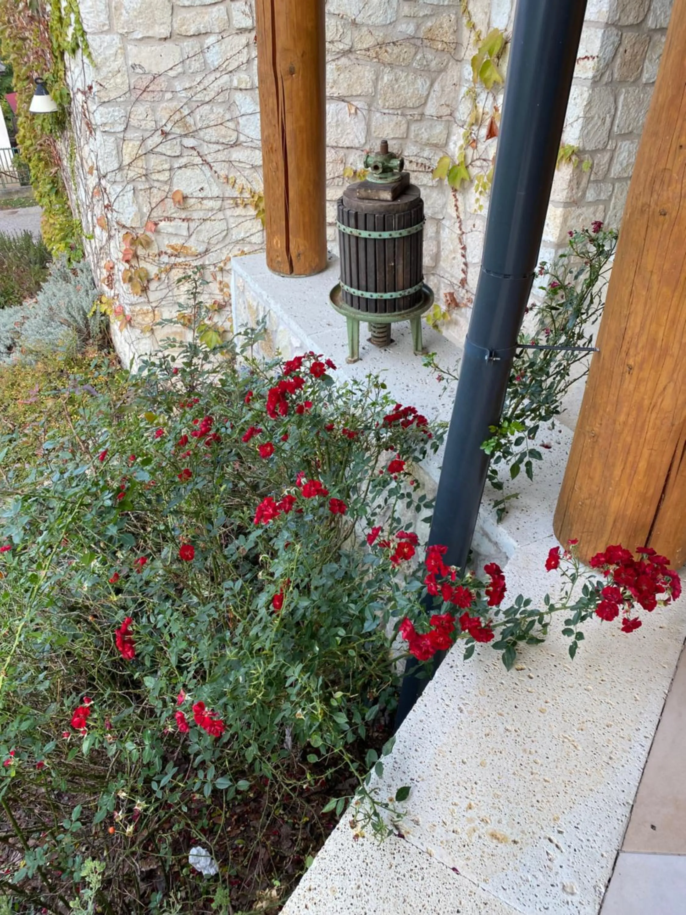 Garden in Juharos Vendégház