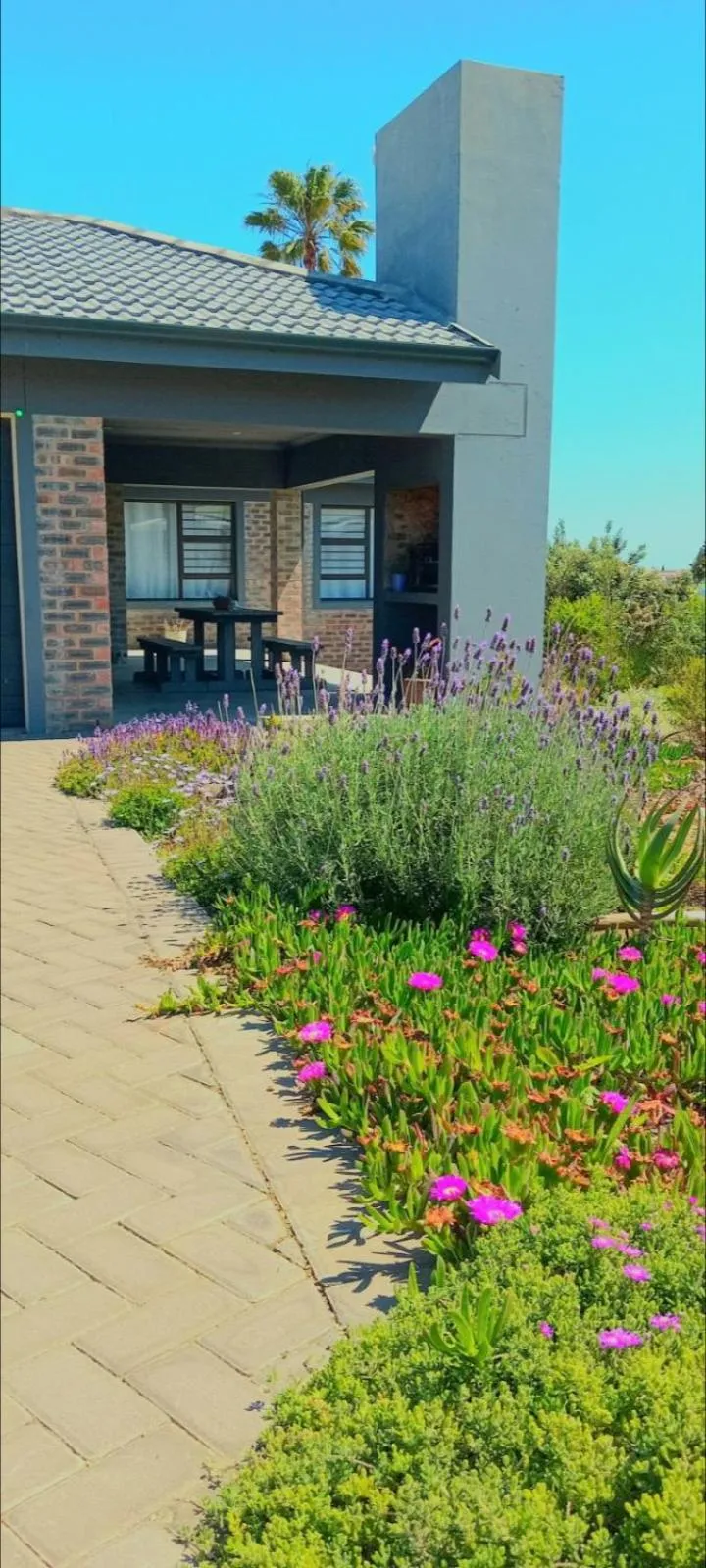 Gasteria Cottage