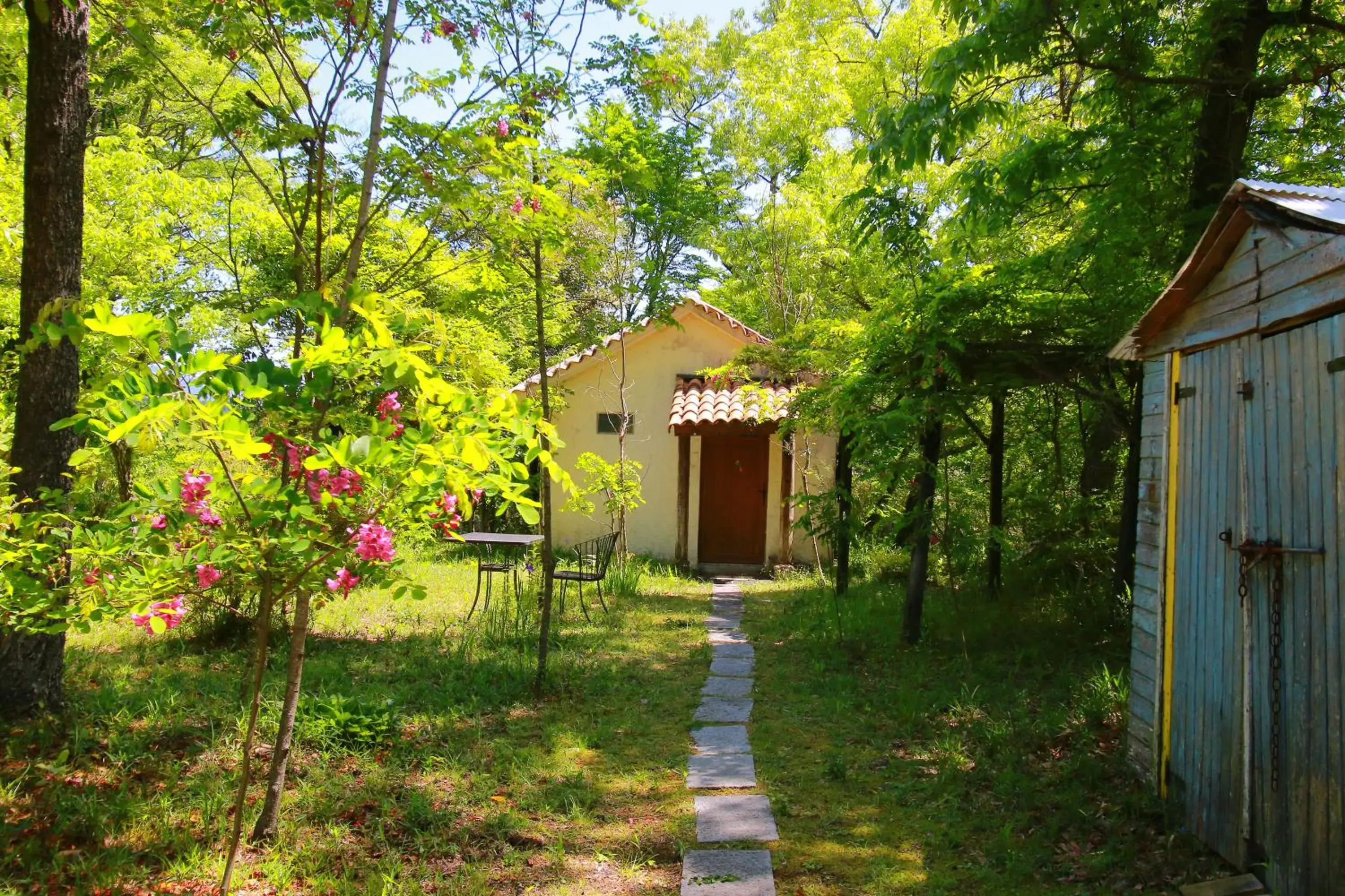 Standard Twin Room - single occupancy in Auberge Koyama Standard Twin Room - single occupancy in Auberge Koyama