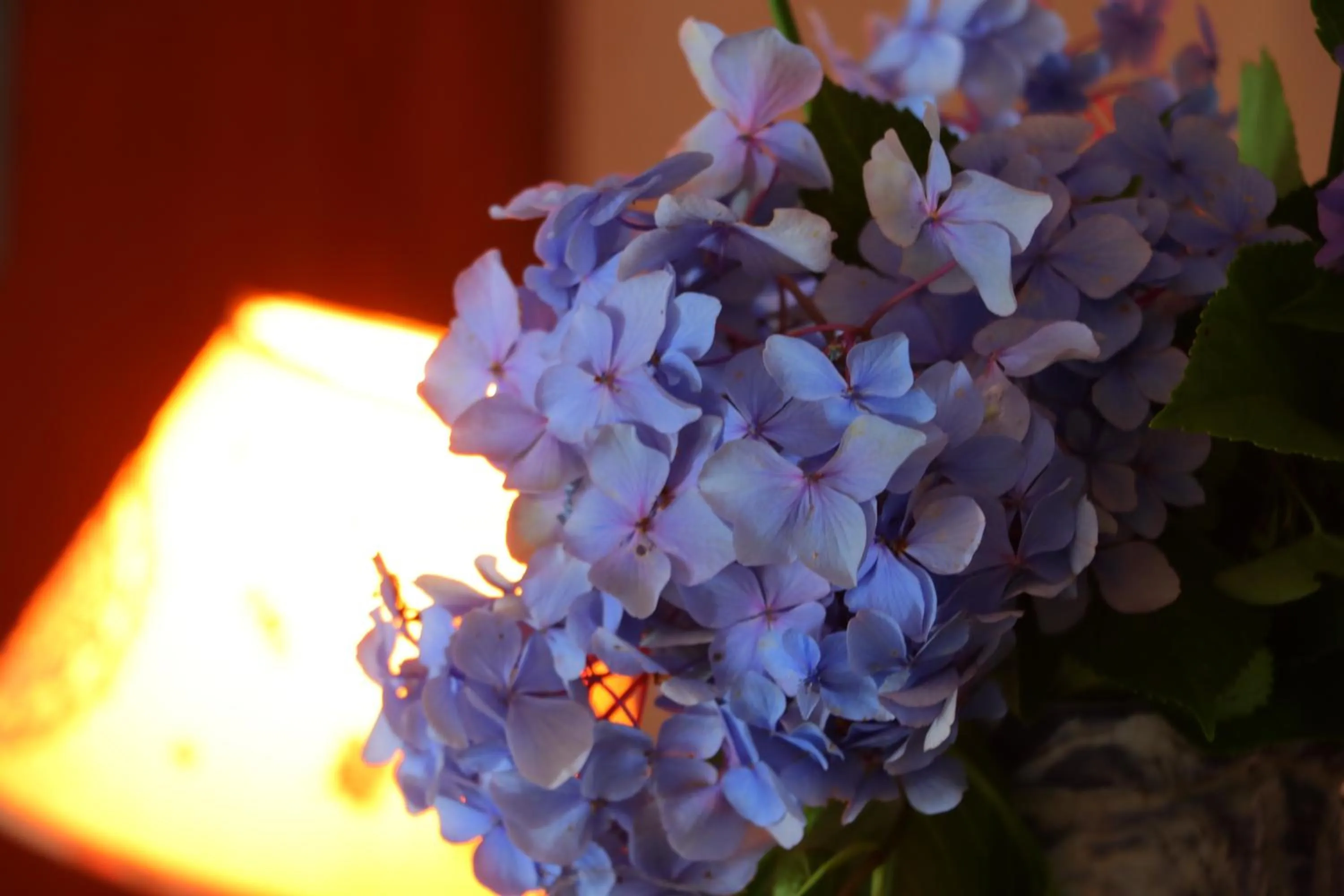 Decorative detail in Auberge Koyama